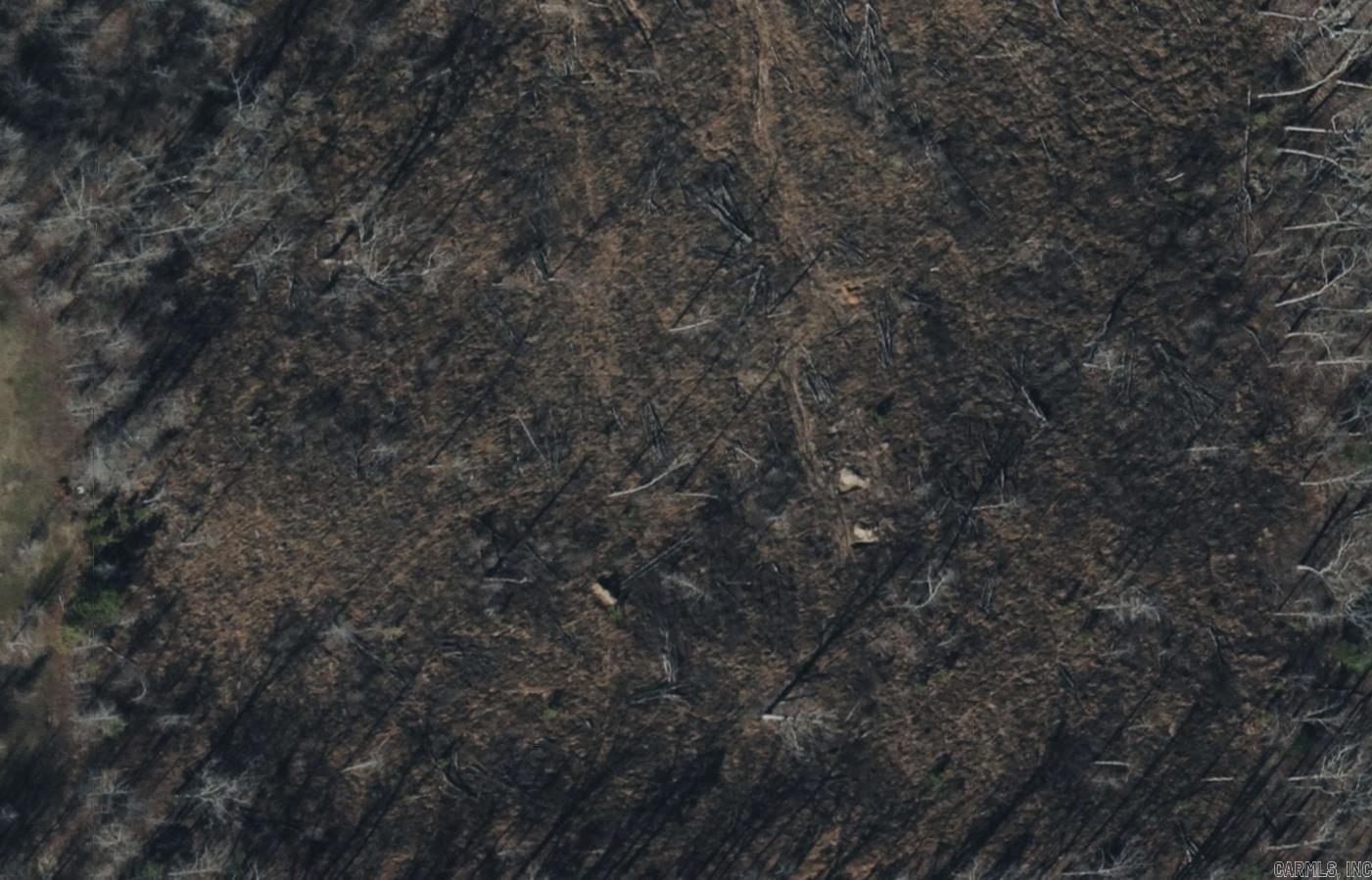 Tract 8B Rigsby  Lonsdale, AR