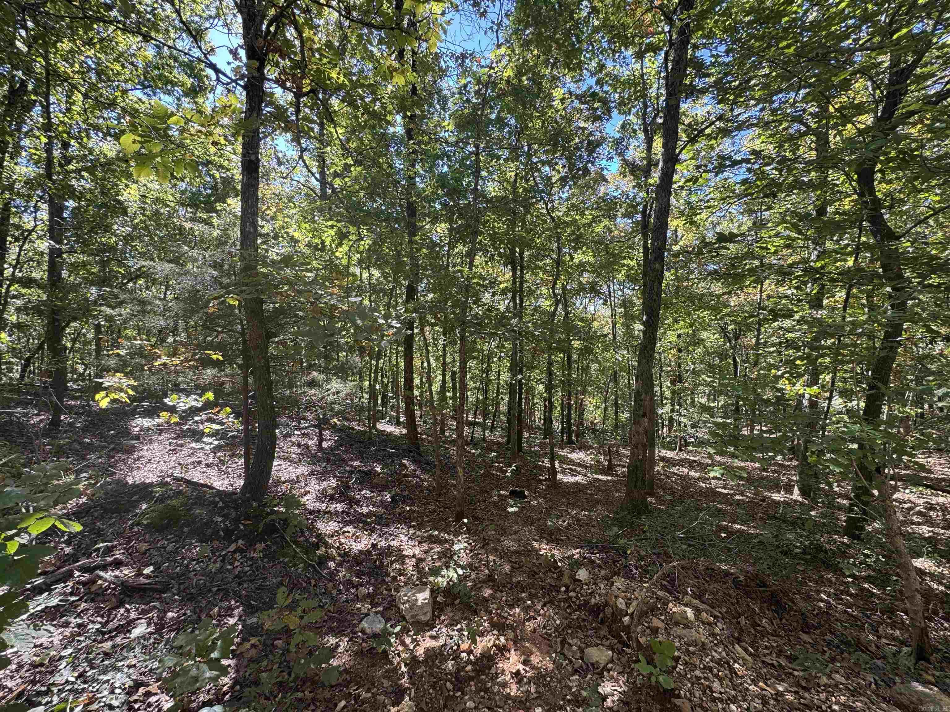 0 River Trace  Hardy, AR