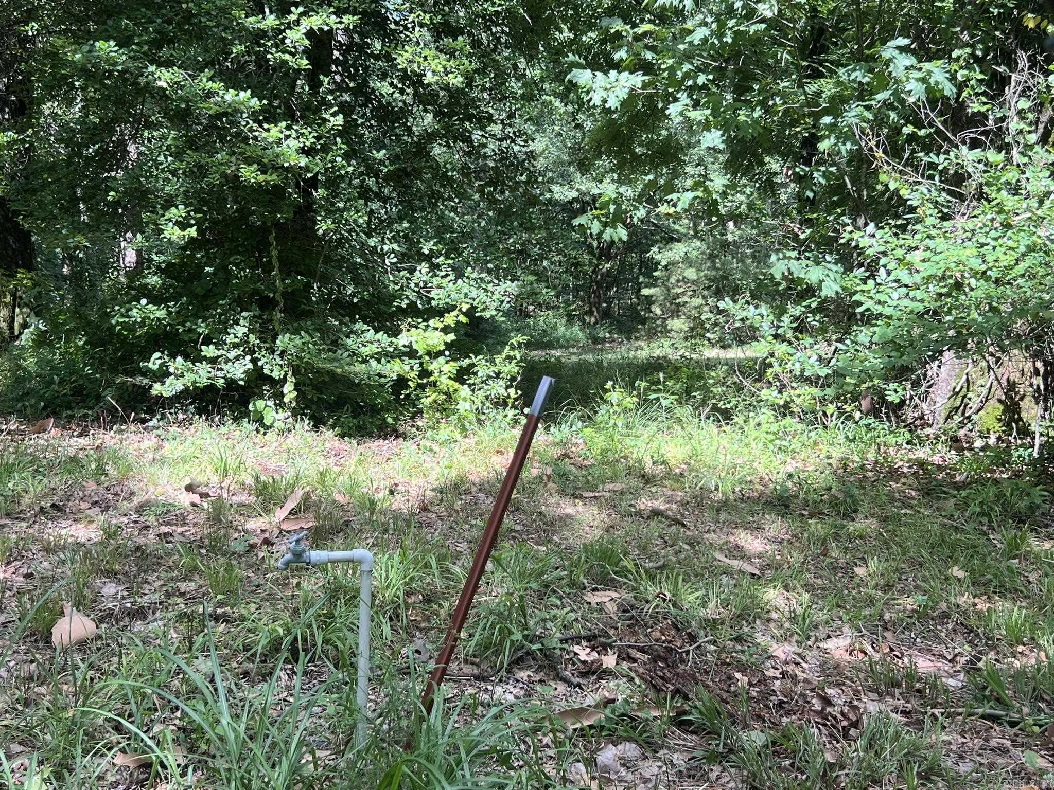 Unk FS Road 521  Mena, AR