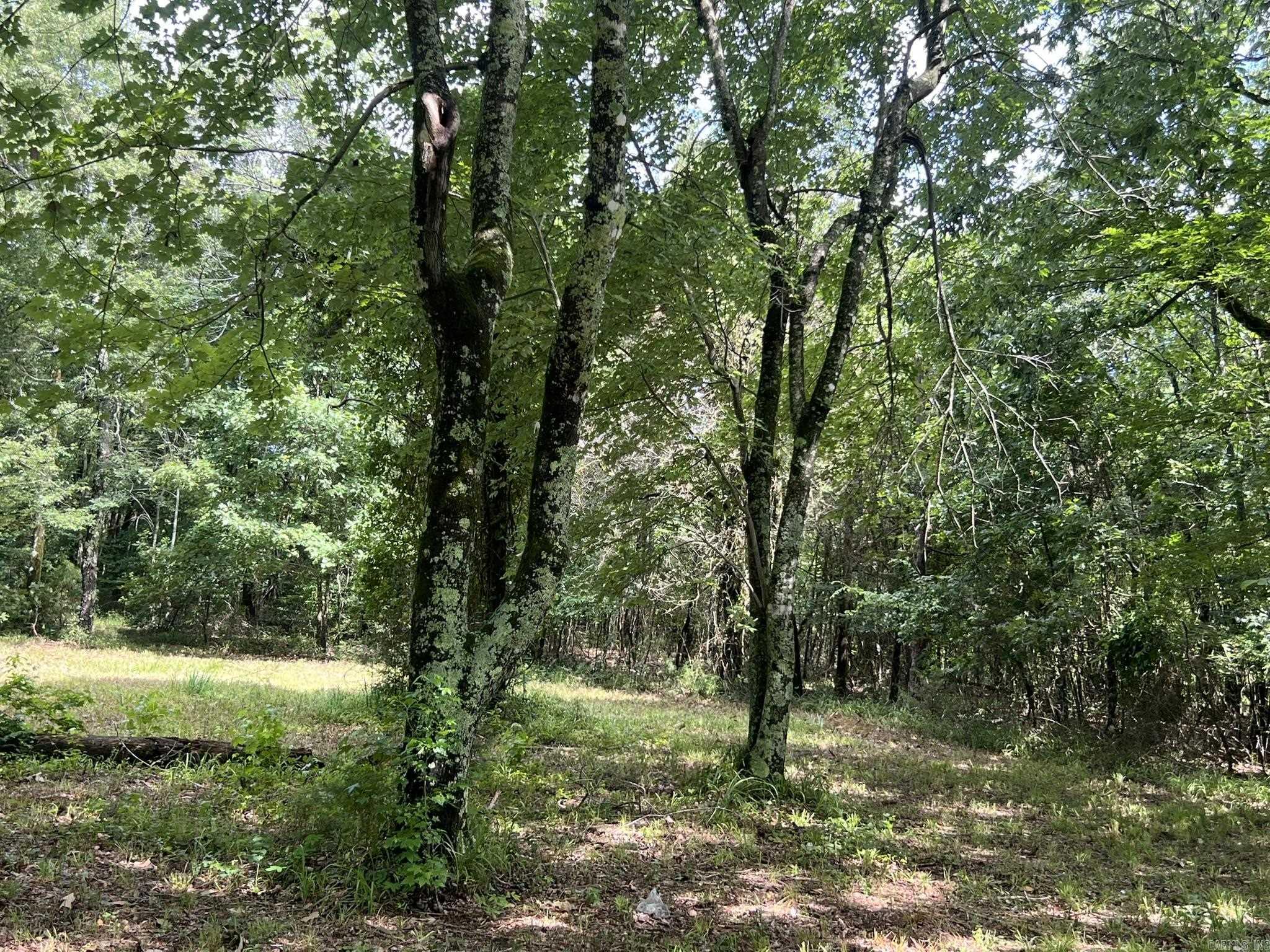 Unk FS Road 521  Mena, AR