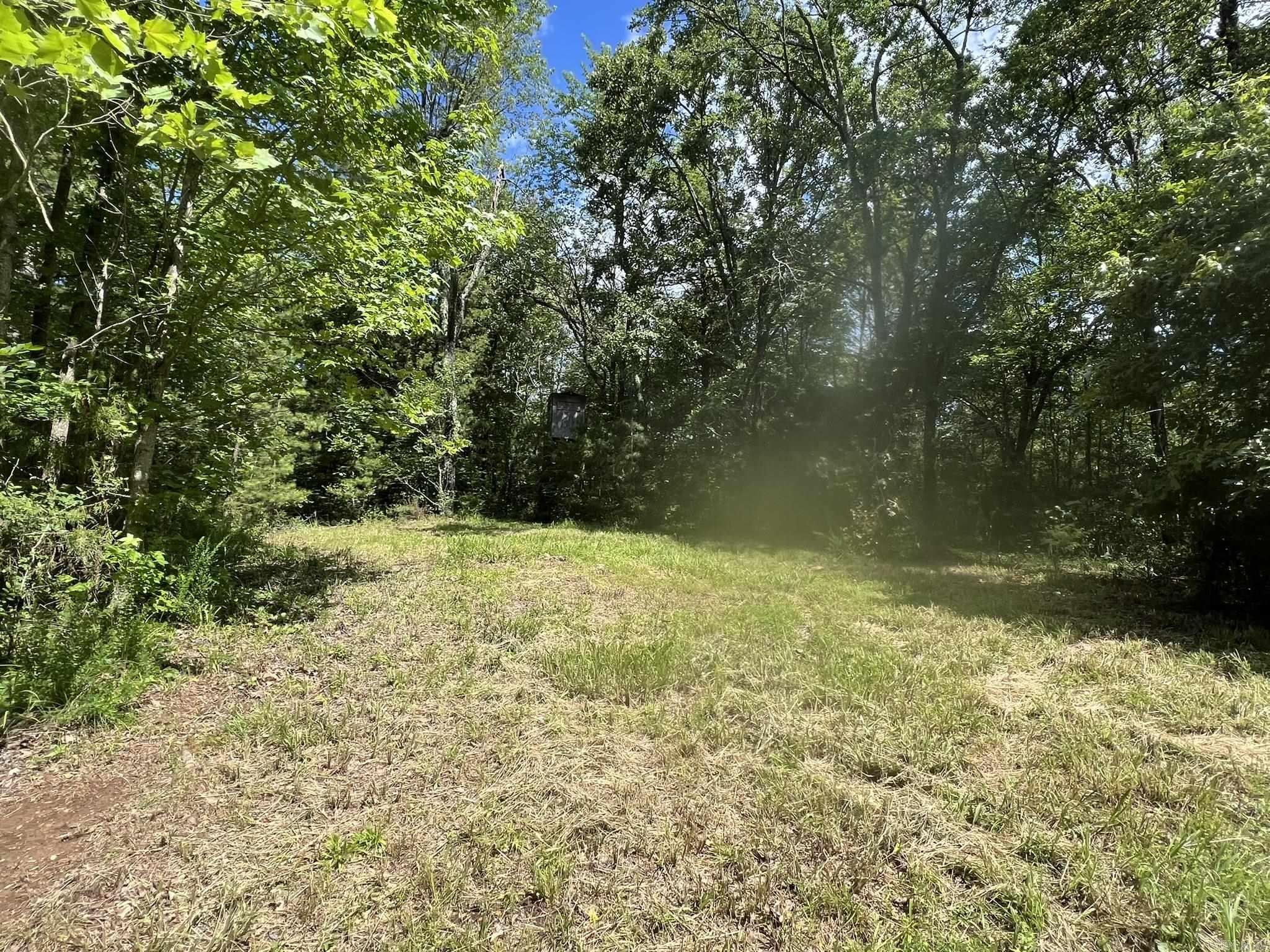 Unk FS Road 521  Mena, AR