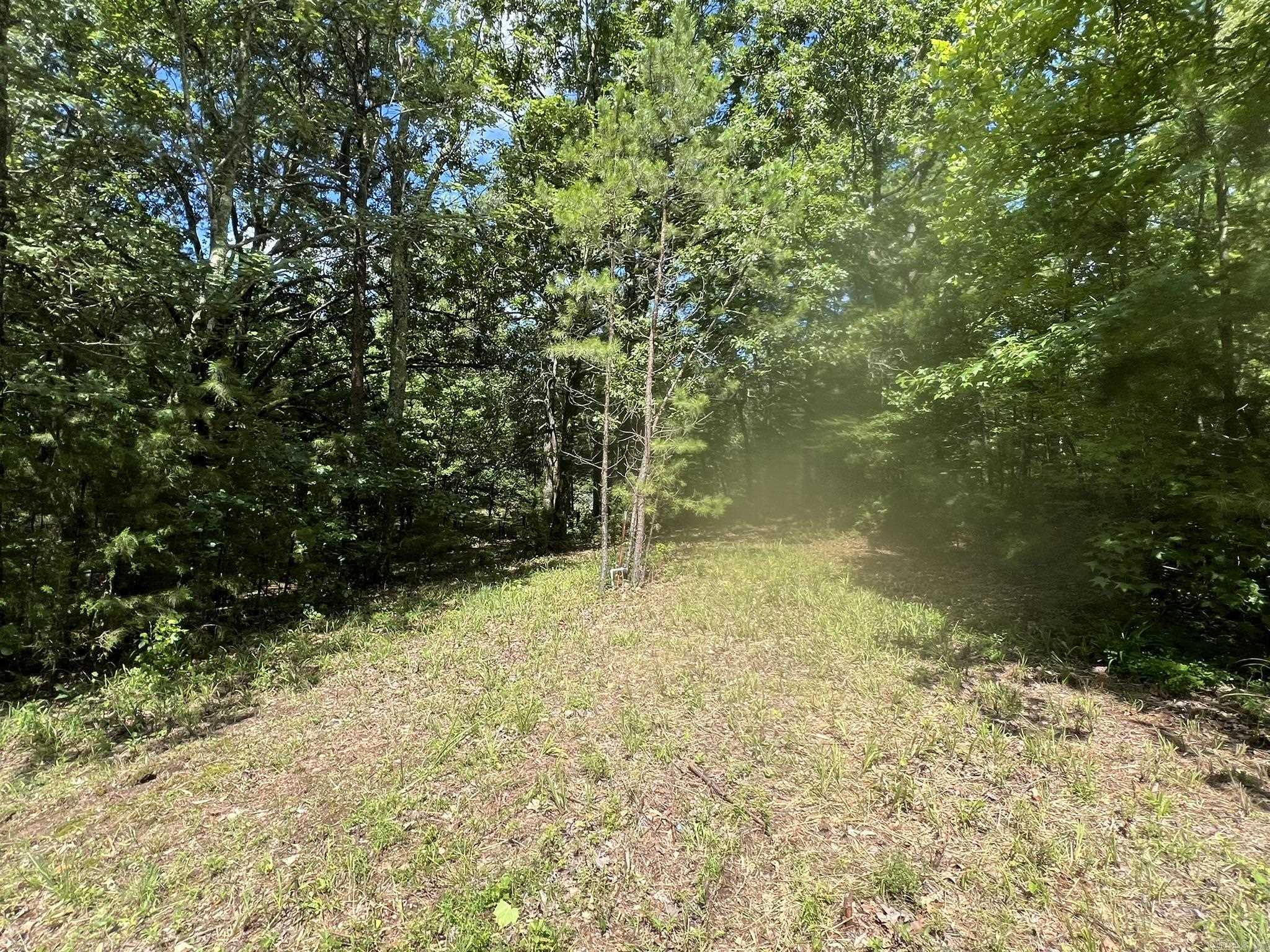 Unk FS Road 521  Mena, AR