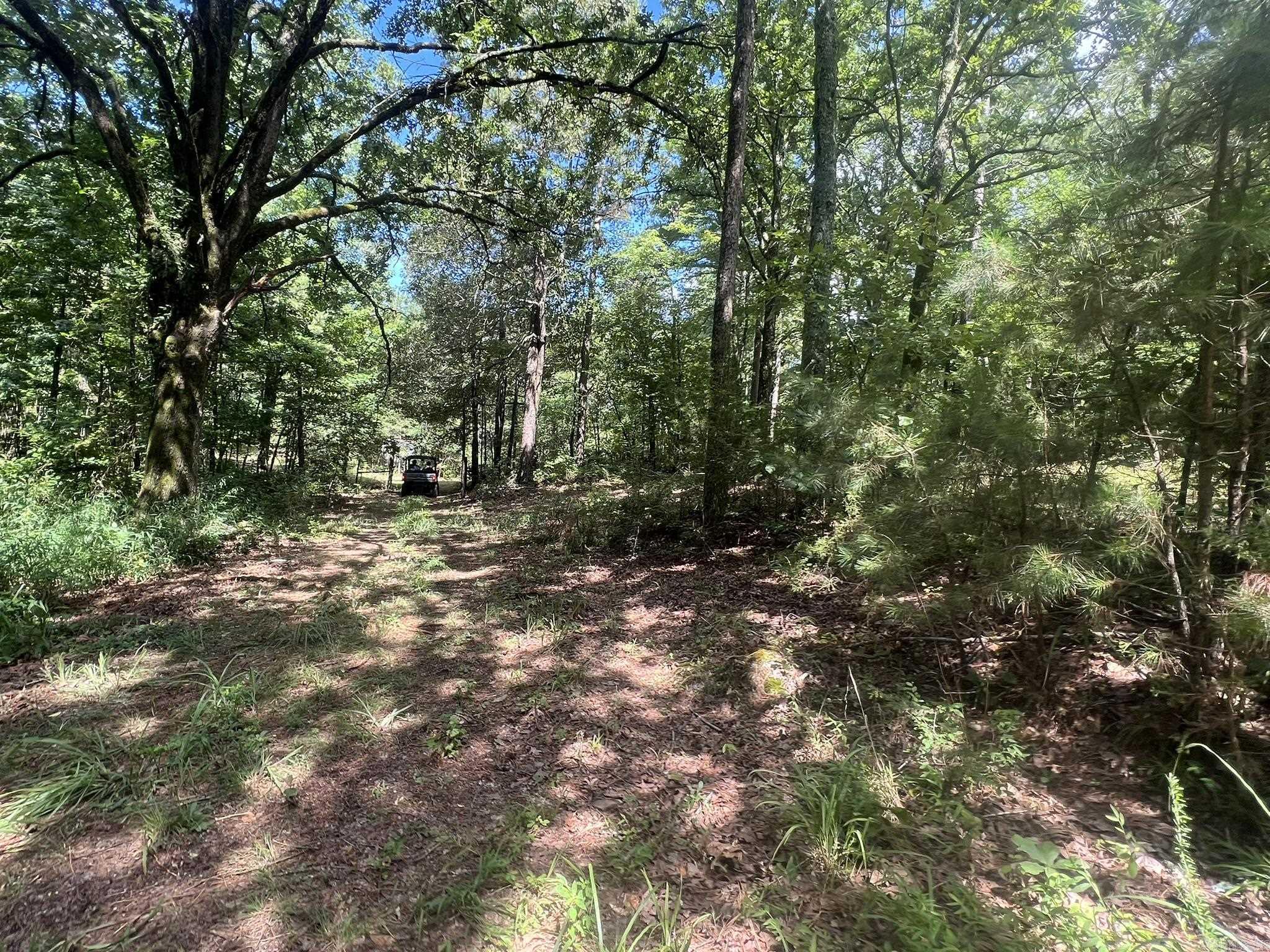 Unk FS Road 521  Mena, AR