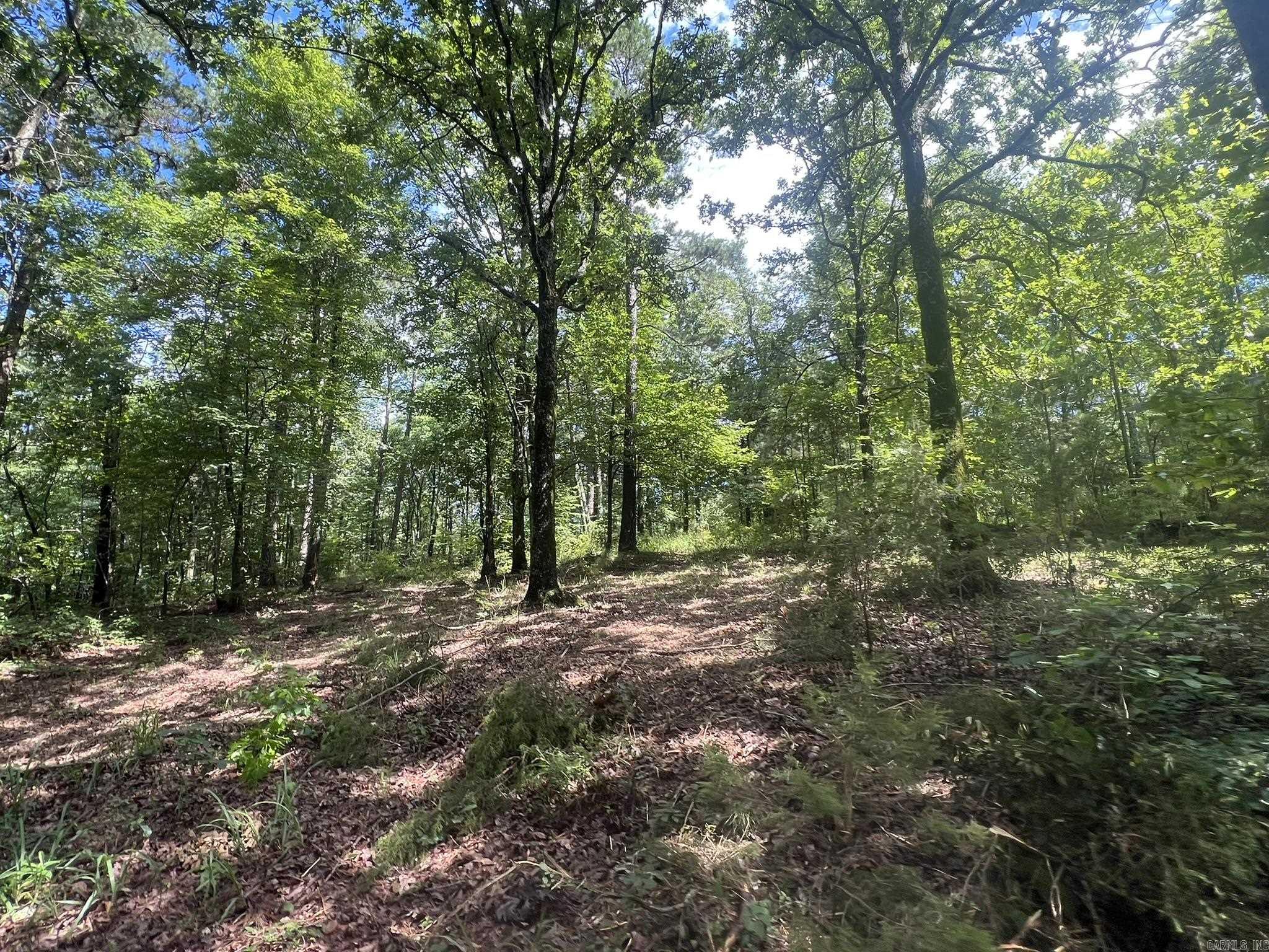 Unk FS Road 521  Mena, AR