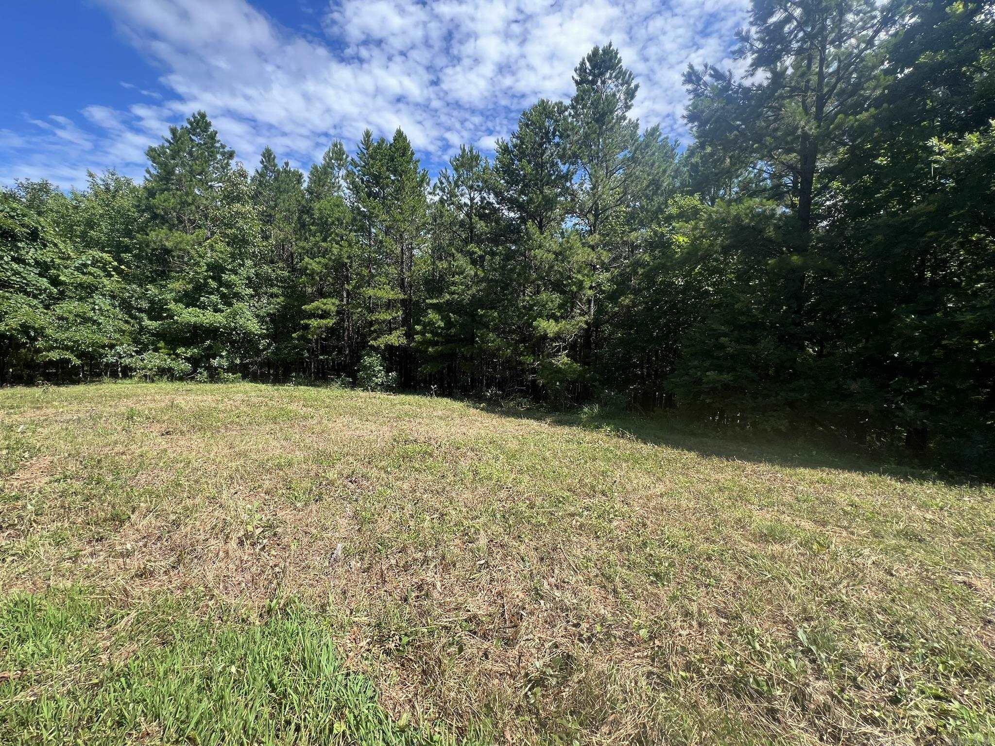 Unk FS Road 521  Mena, AR