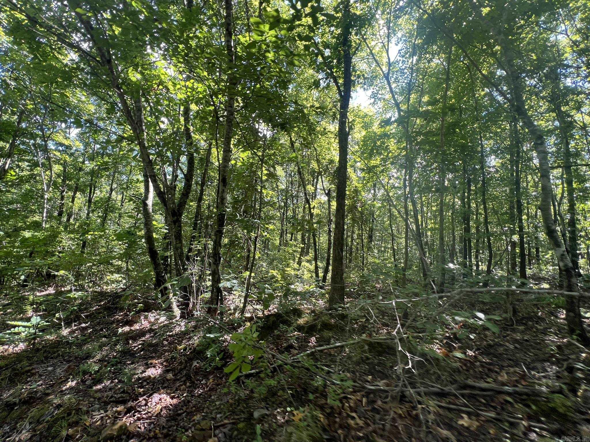 Unk FS Road 521  Mena, AR