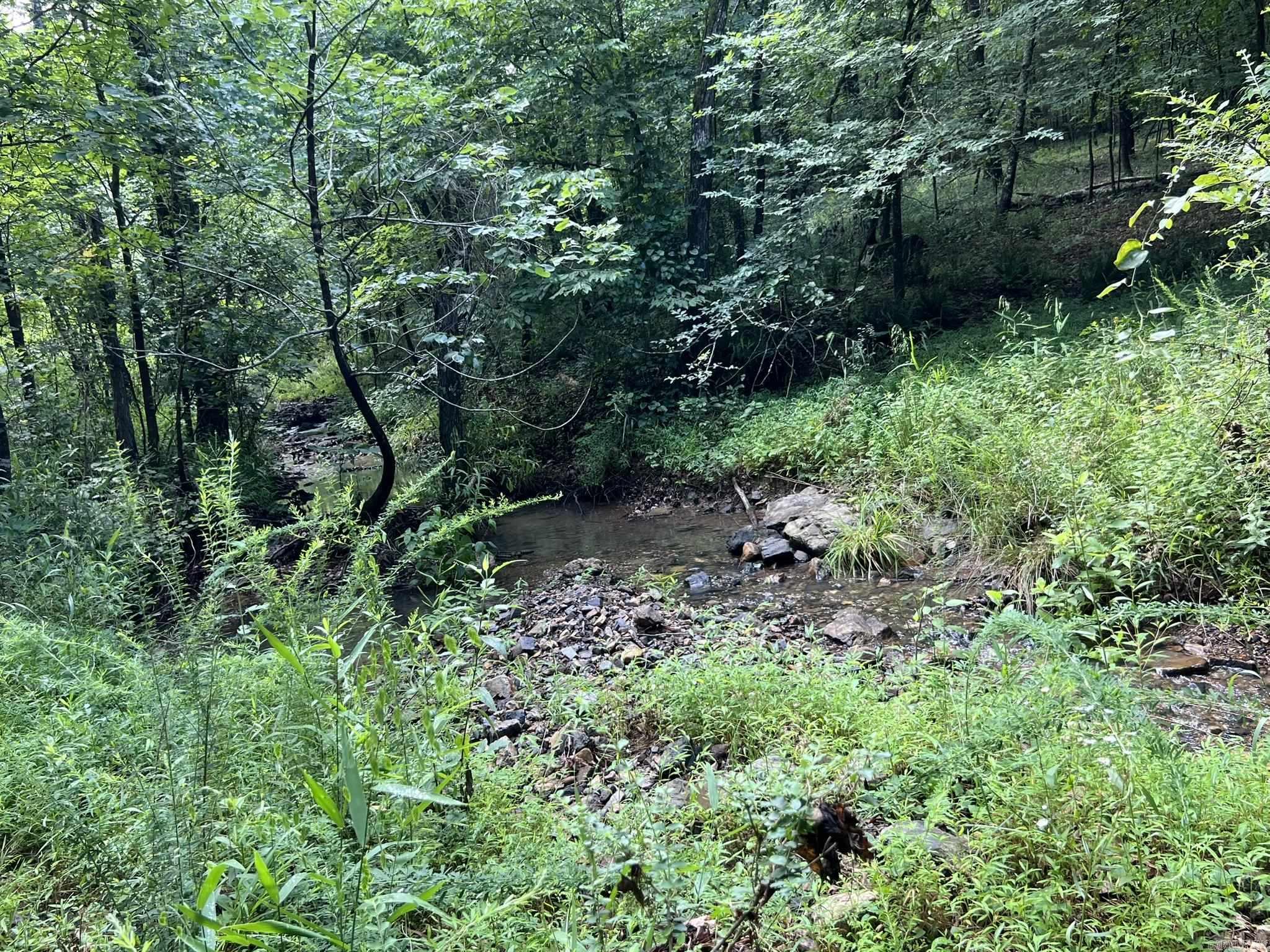 Unk FS Road 521  Mena, AR