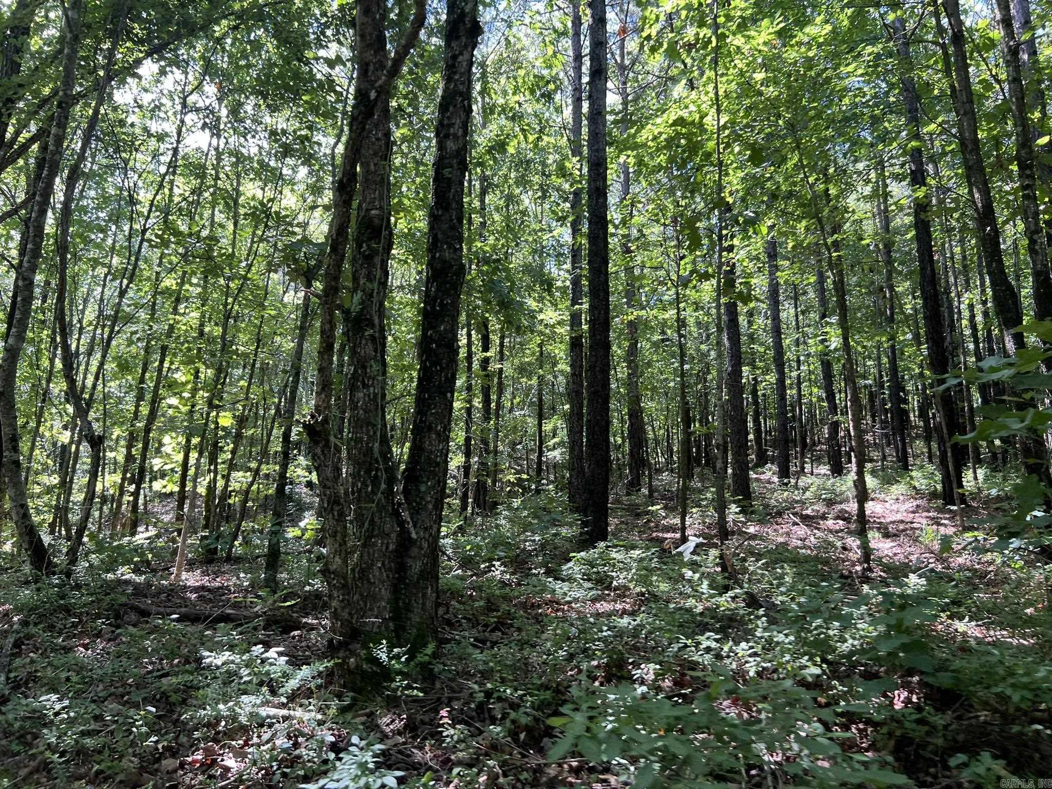 Unk FS Road 521  Mena, AR