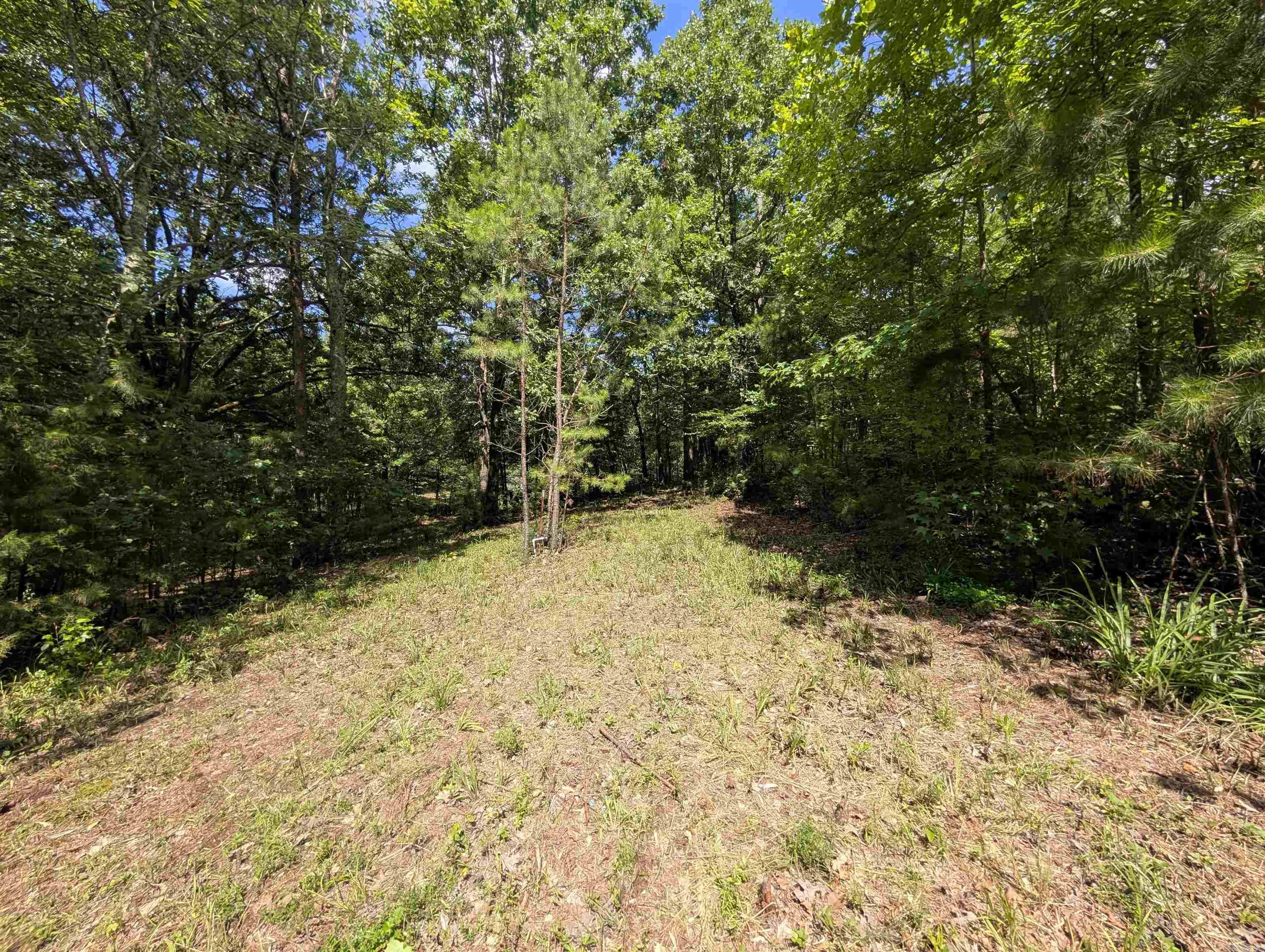 Unk FS Road 521  Mena, AR