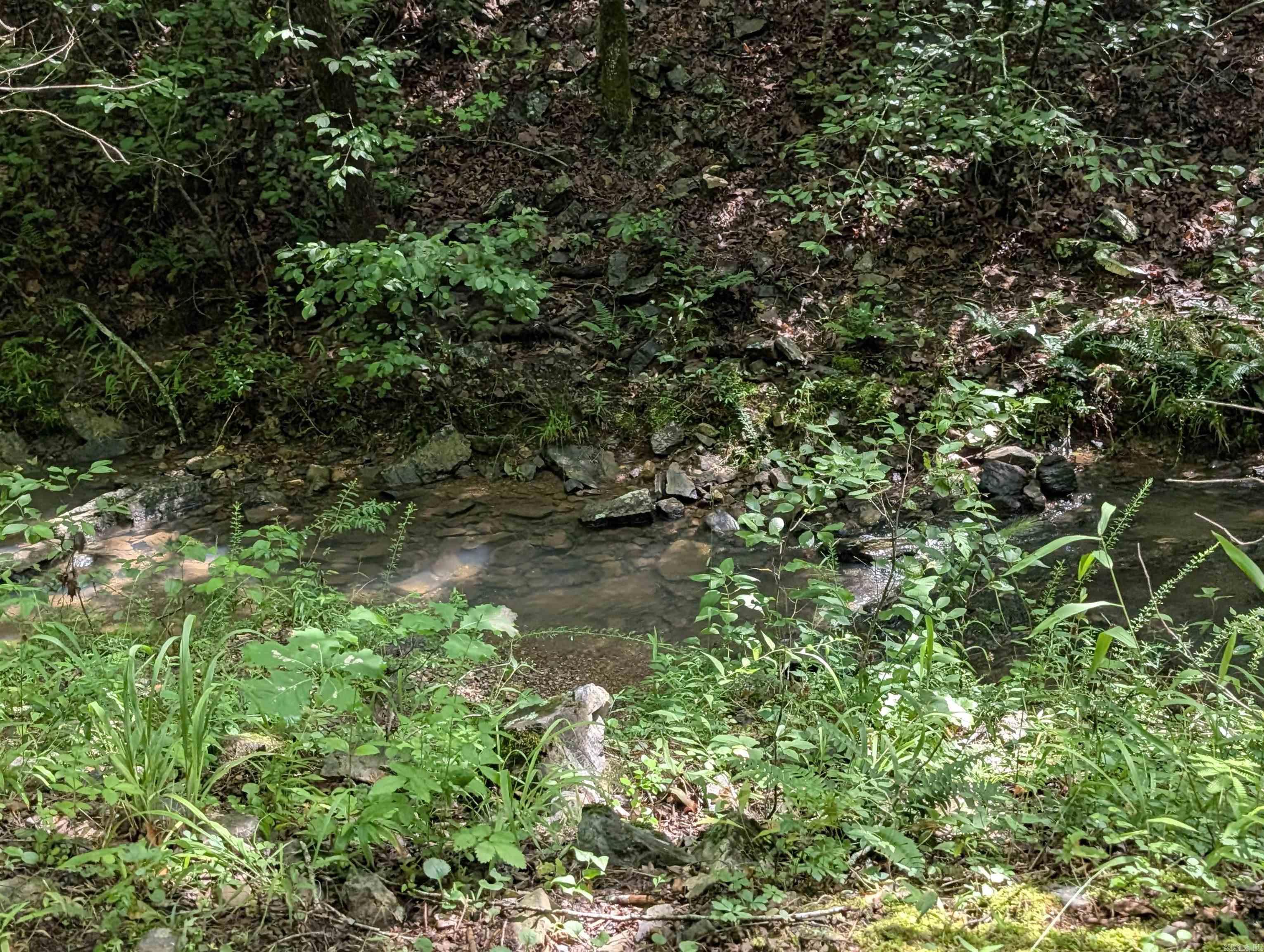 Unk FS Road 521  Mena, AR