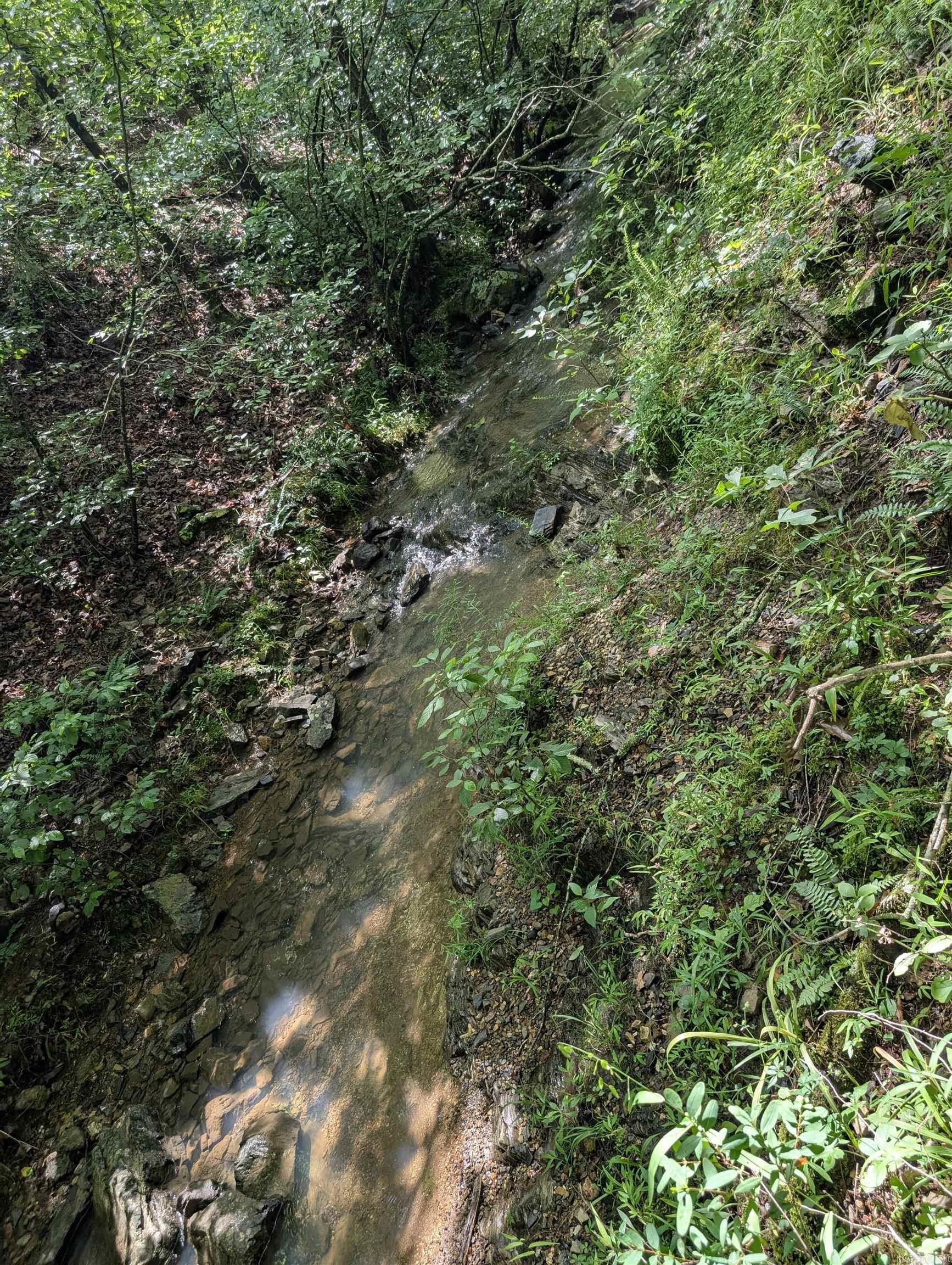 Unk FS Road 521  Mena, AR