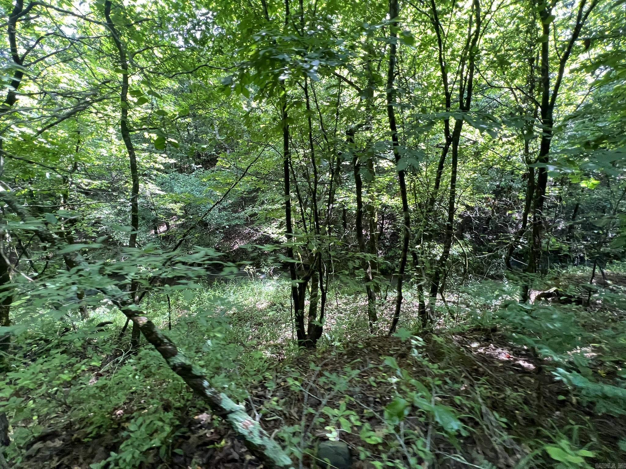 Unk FS Road 521  Mena, AR