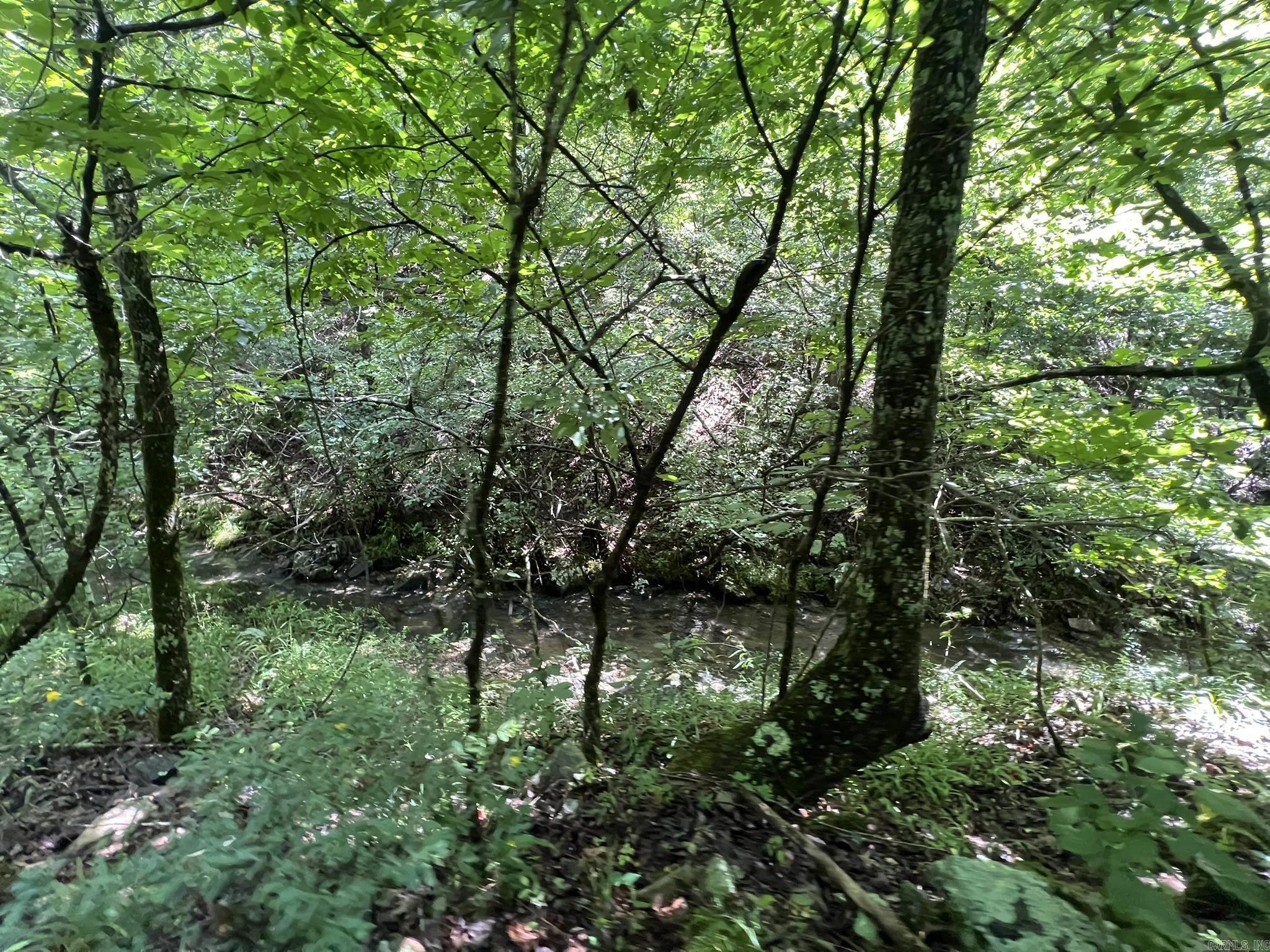 Unk FS Road 521  Mena, AR