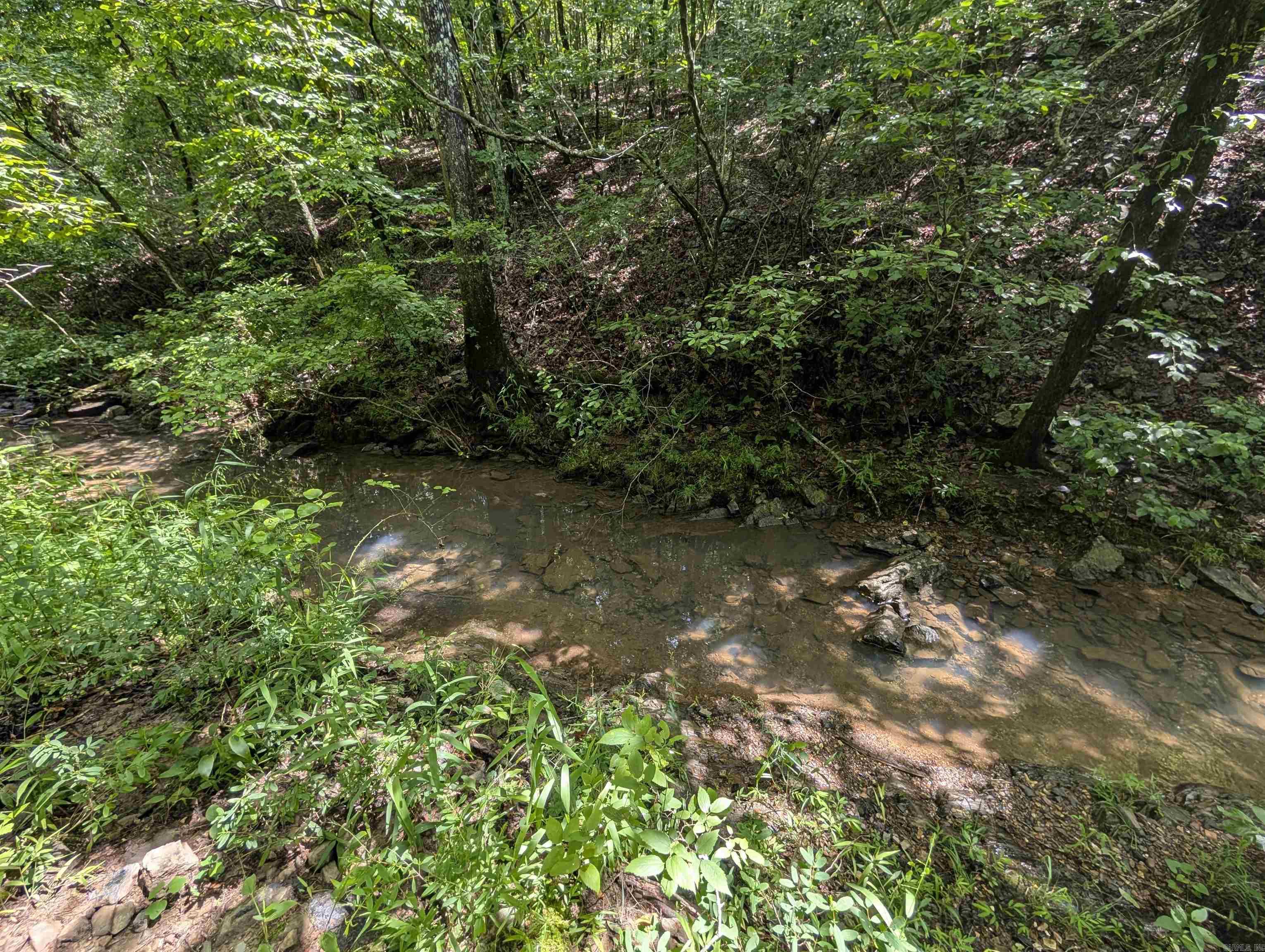 Unk FS Road 521  Mena, AR