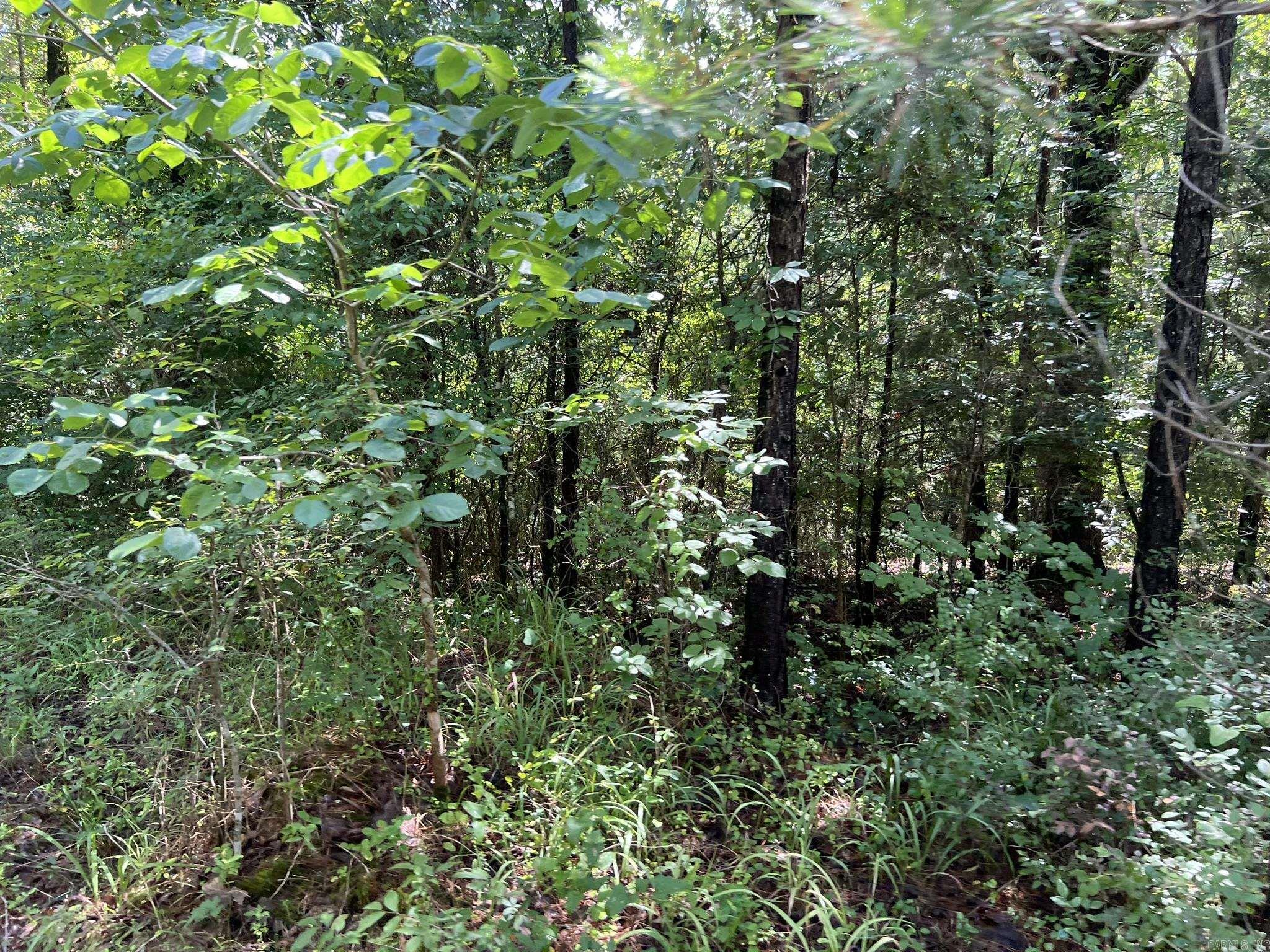 Unk FS Road 521  Mena, AR