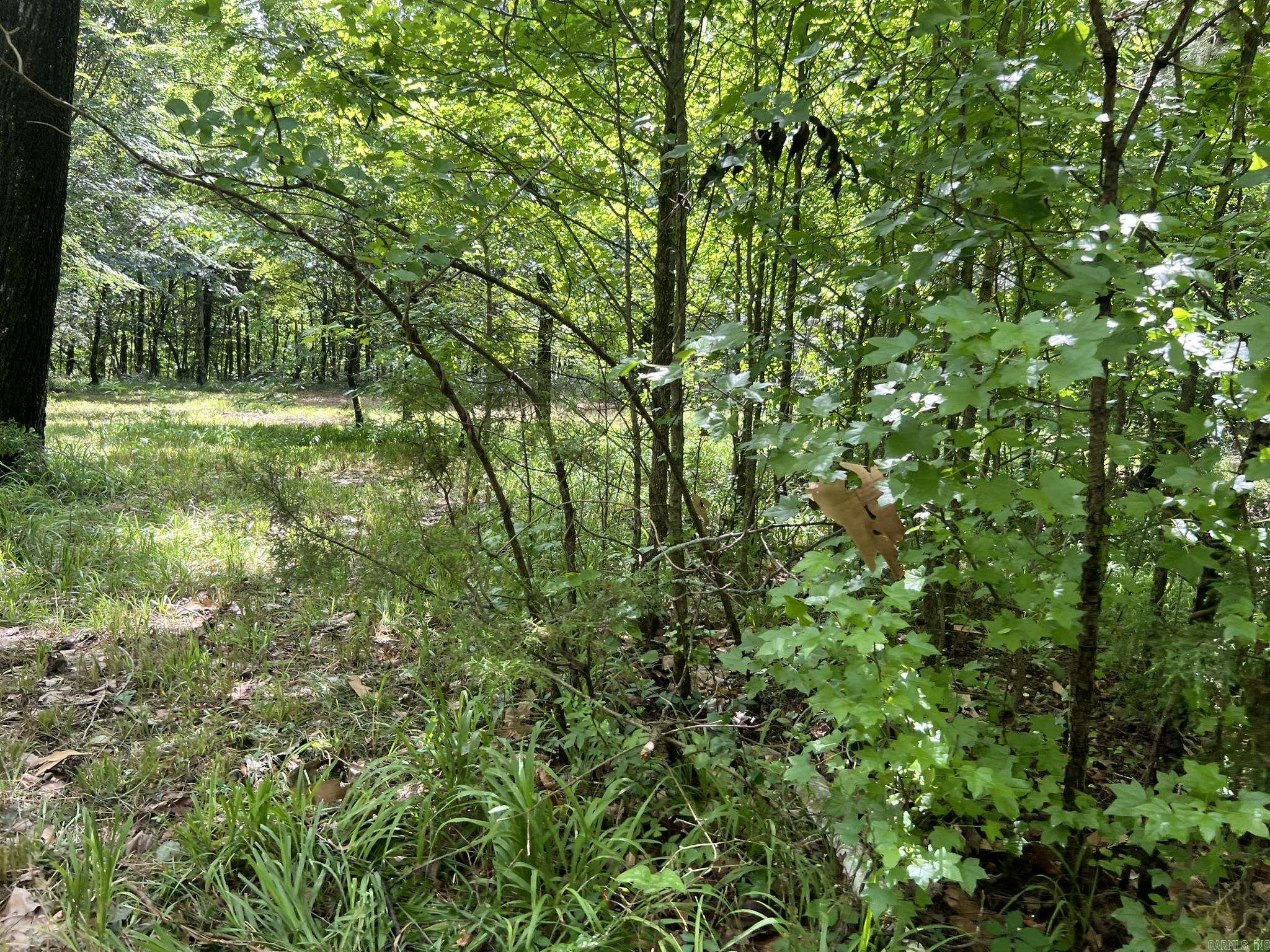 Unk FS Road 521  Mena, AR