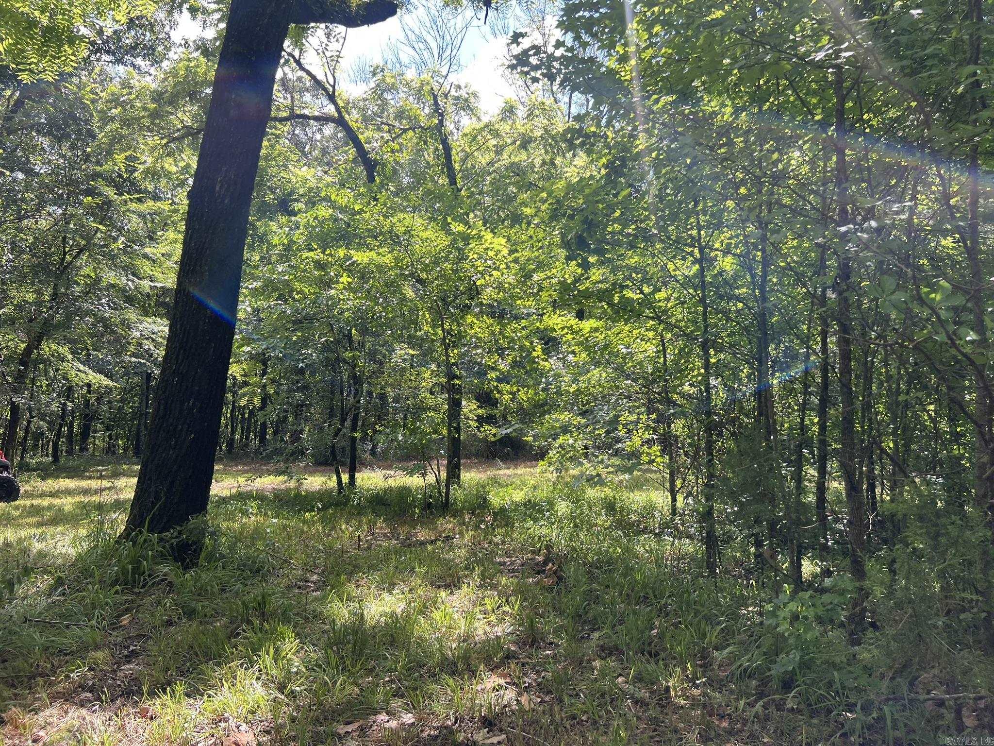 Unk FS Road 521  Mena, AR