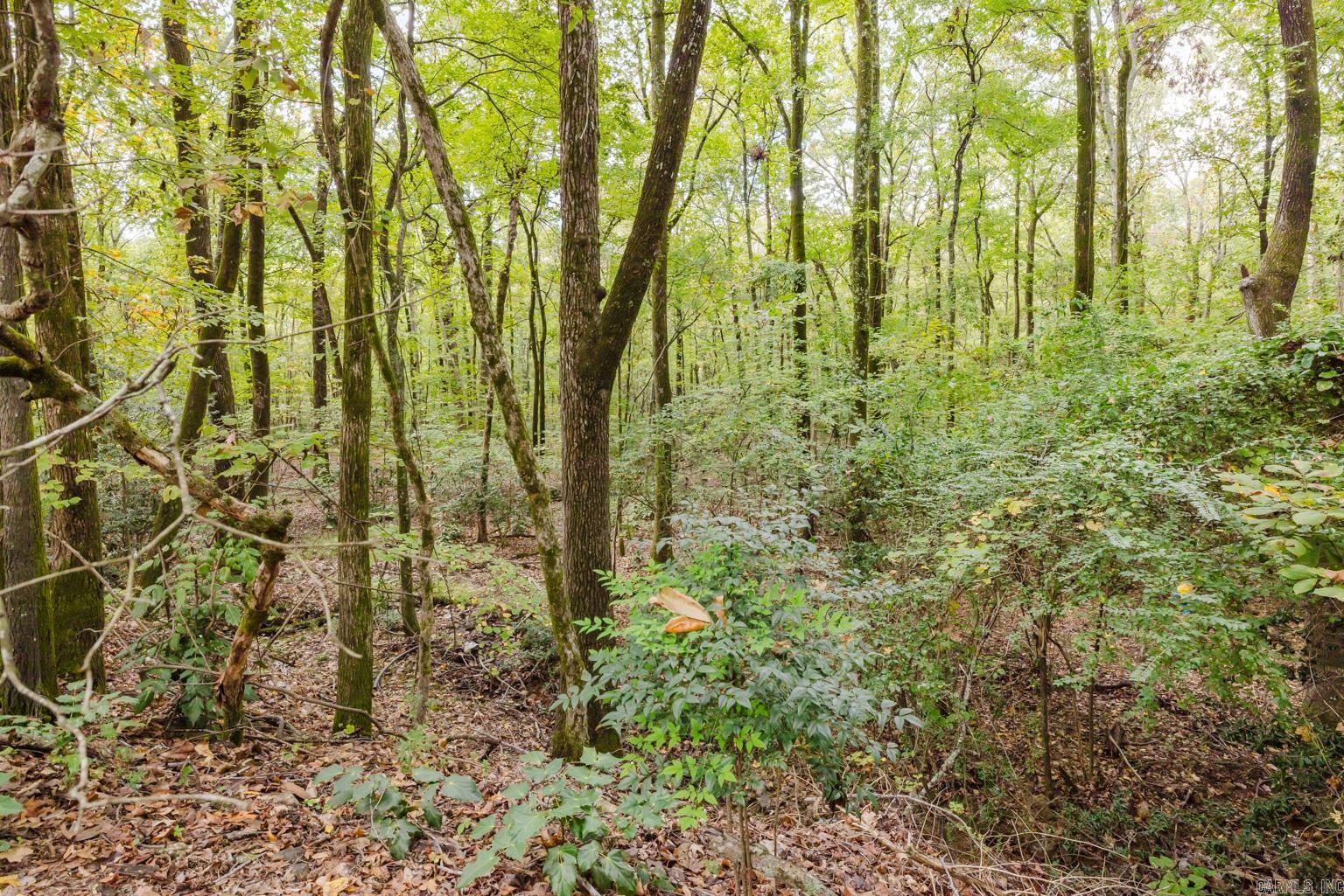 217 N Mission  Hot Springs, AR