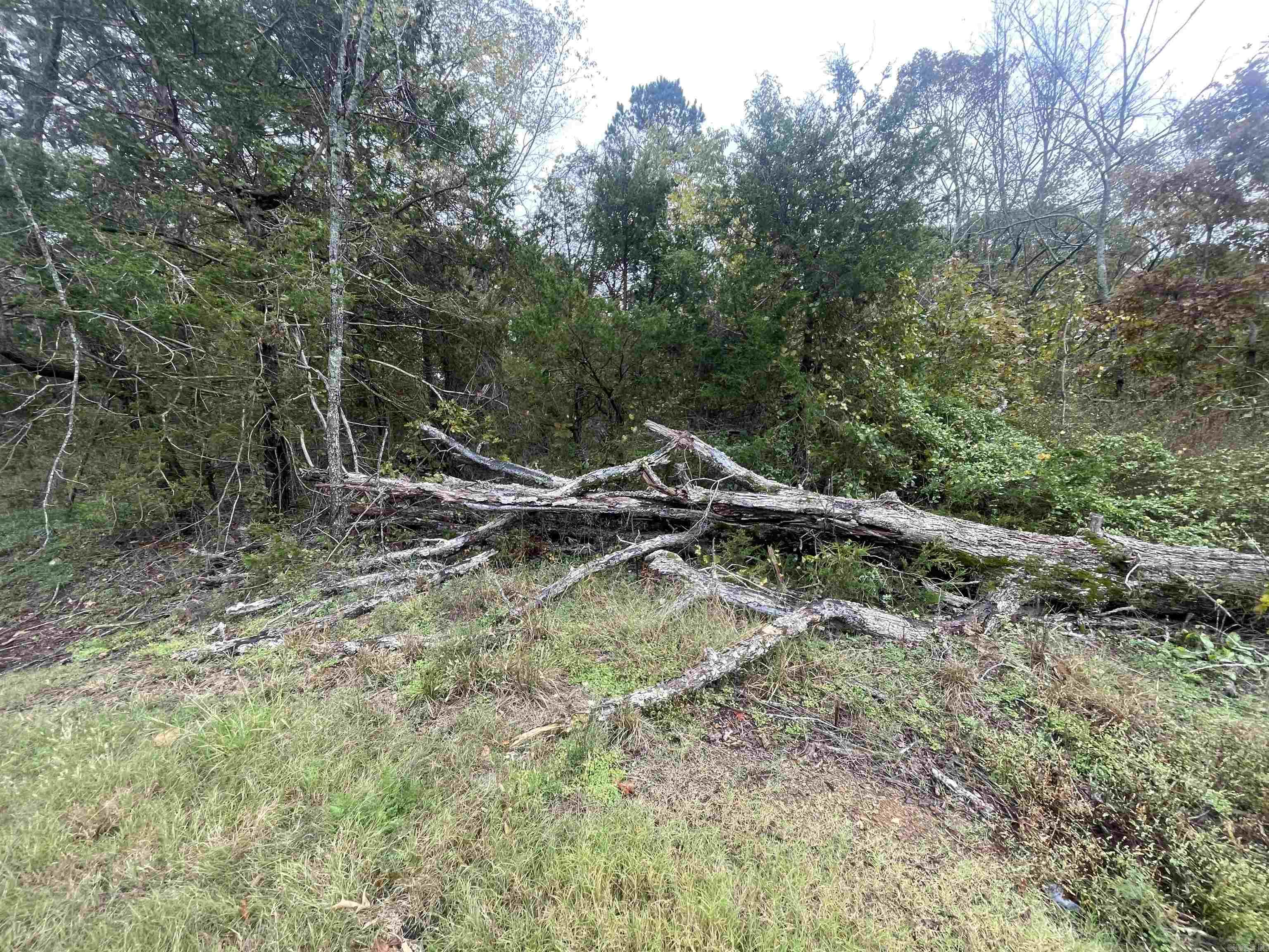 000 Prim Rd.  Prim, AR