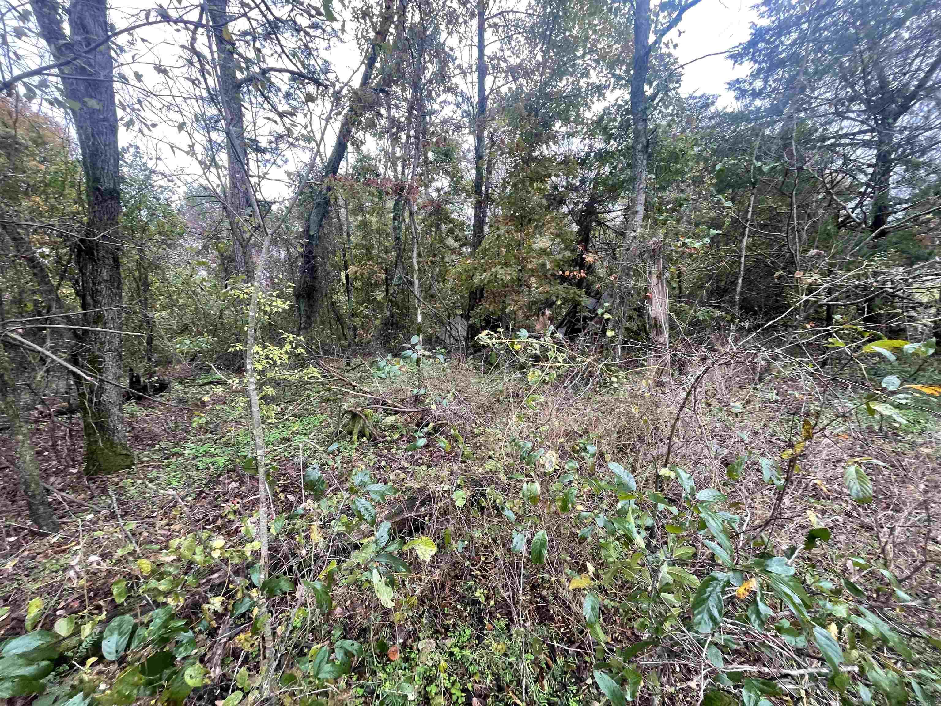 000 Prim Rd.  Prim, AR