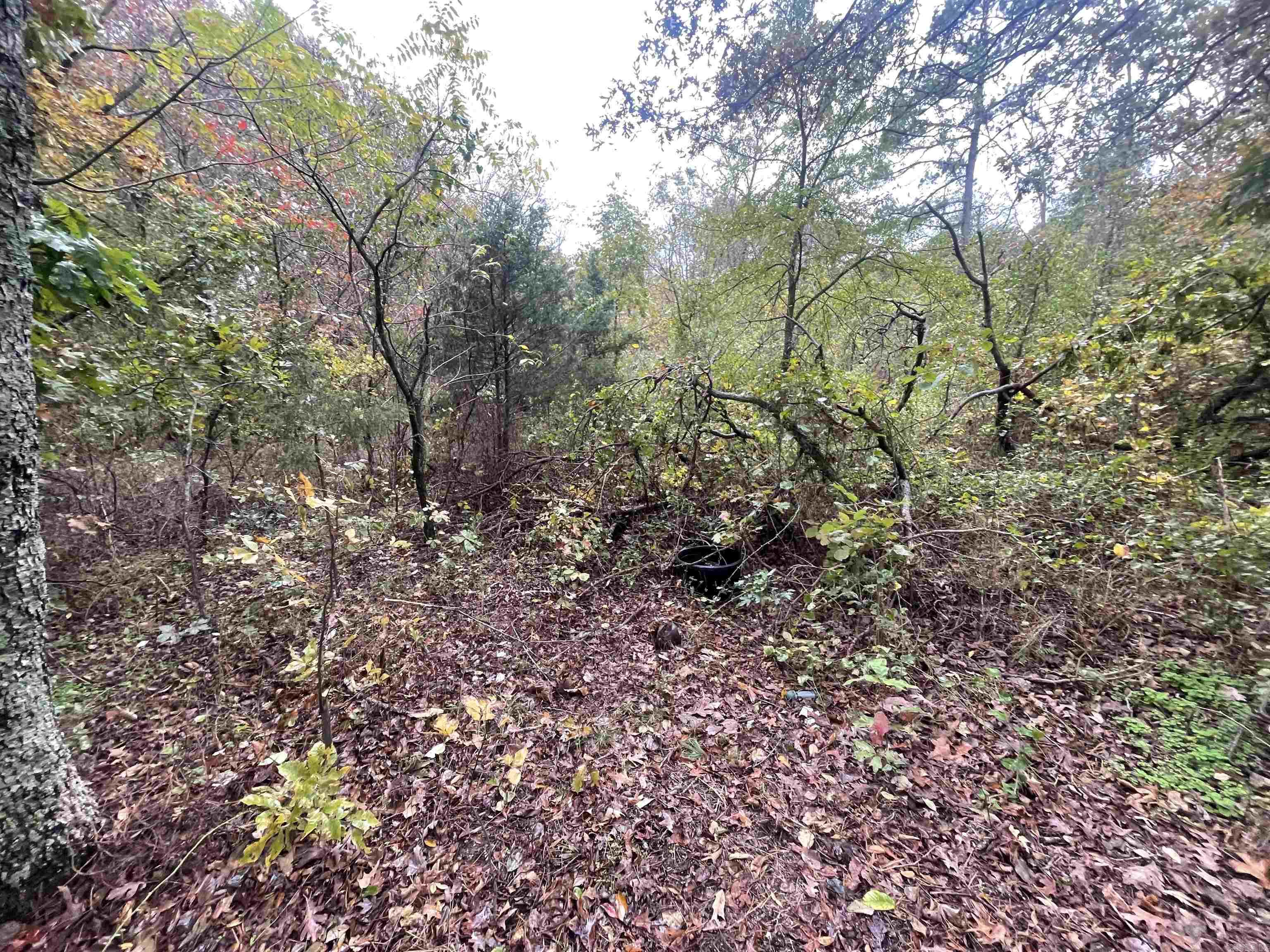 000 Prim Rd.  Prim, AR