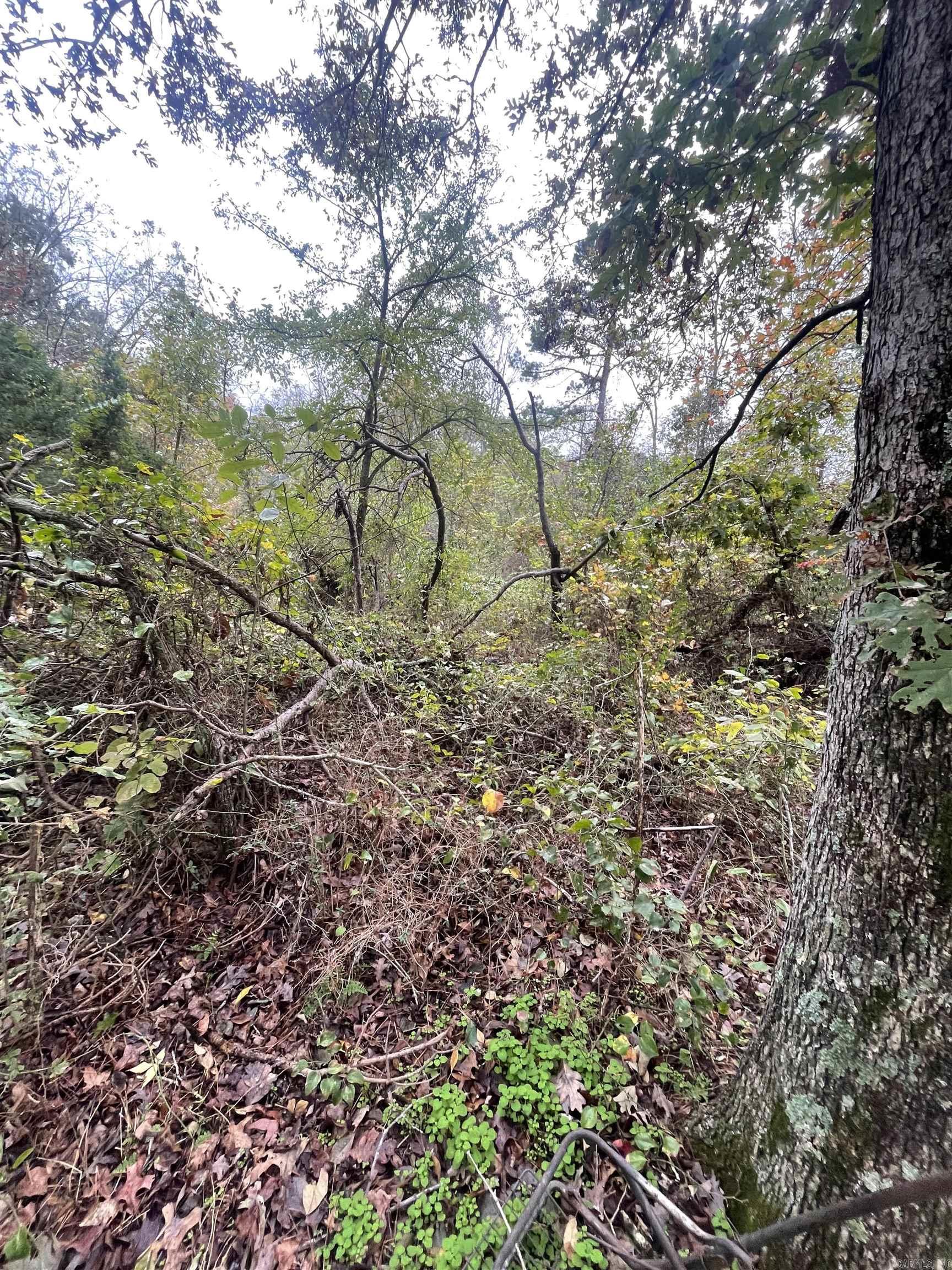 000 Prim Rd.  Prim, AR