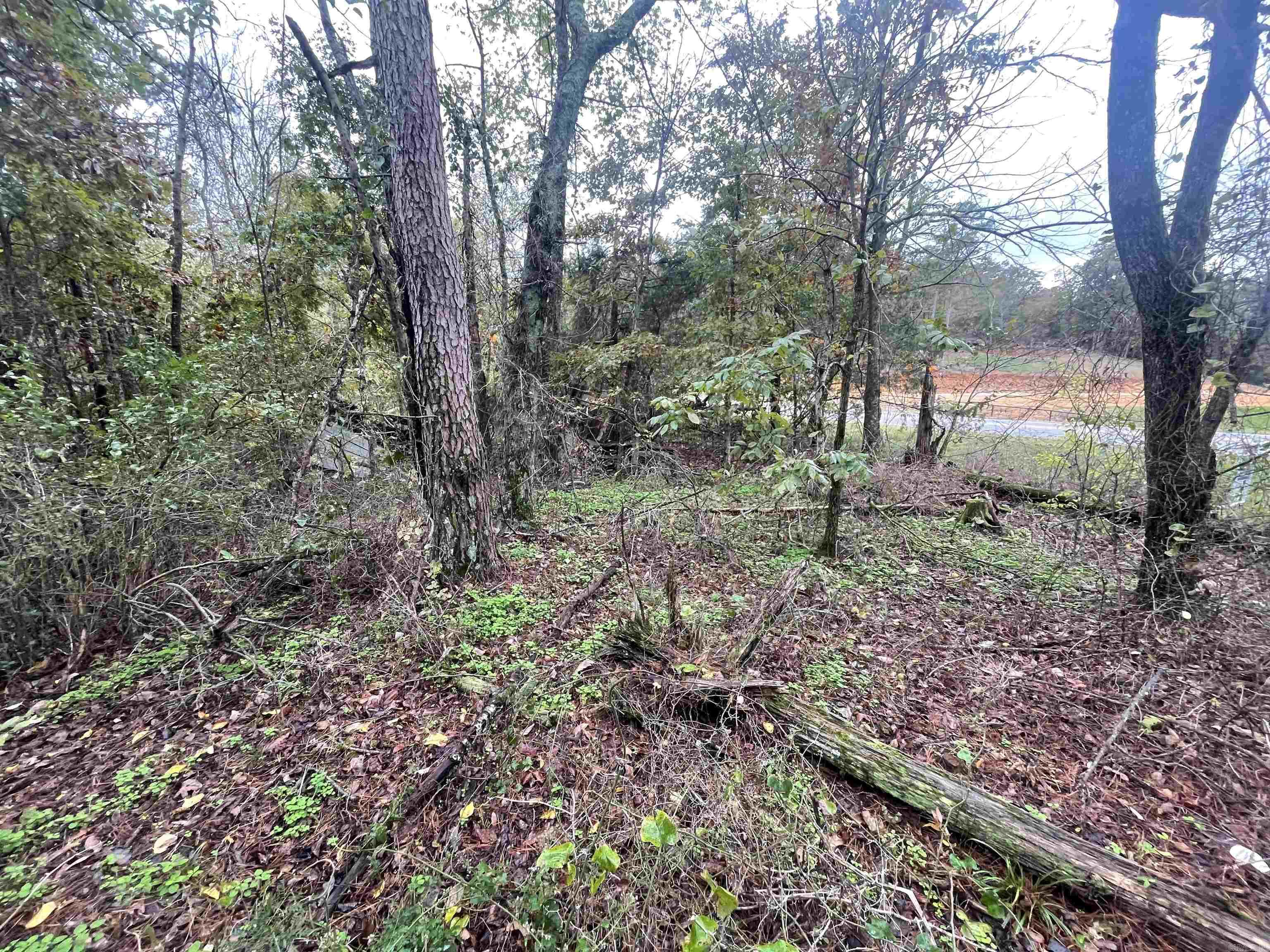 000 Prim Rd.  Prim, AR