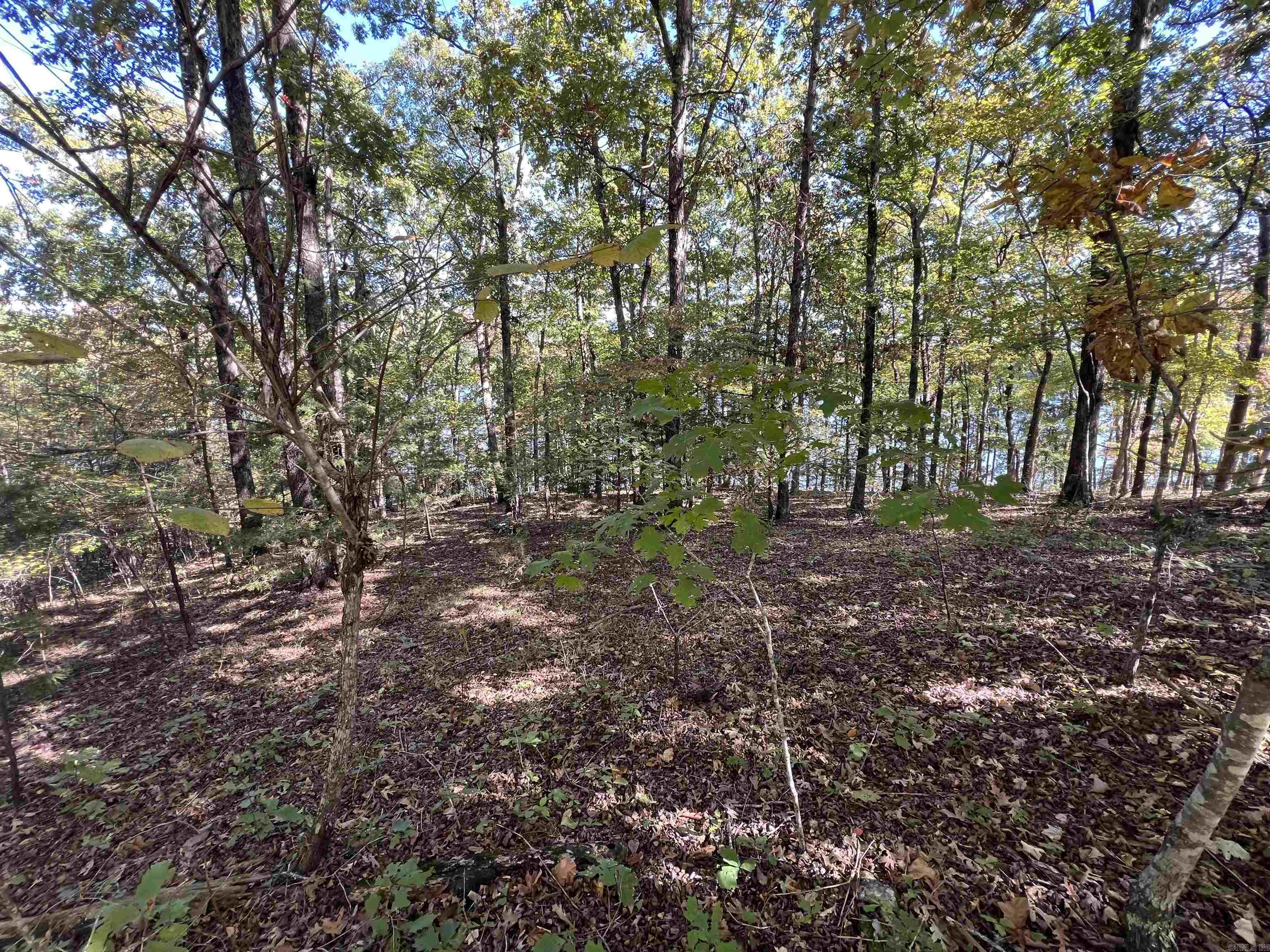 0 Angel  Clinton, AR