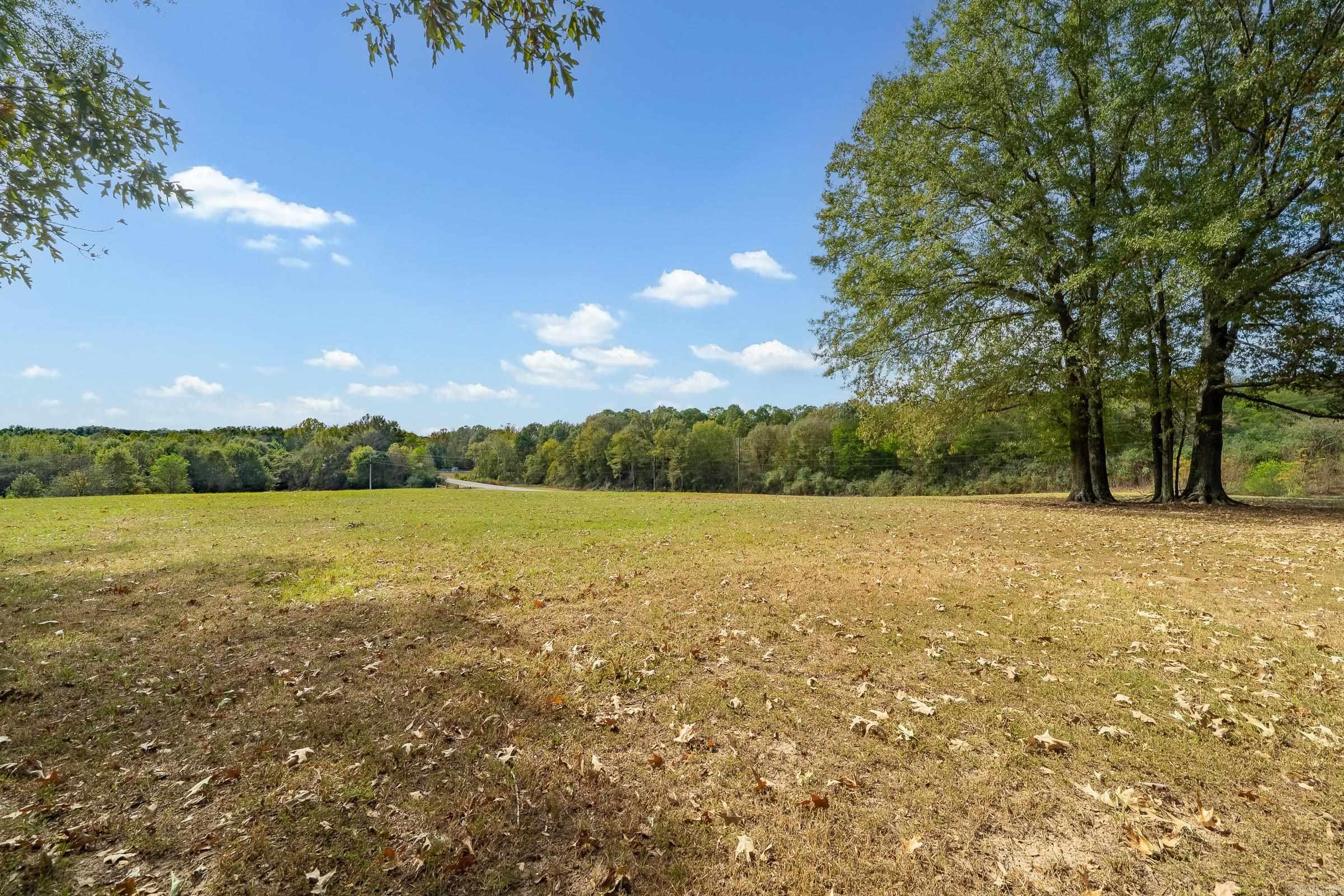 2017 S Highway 41 Highway Horatio, AR 71842