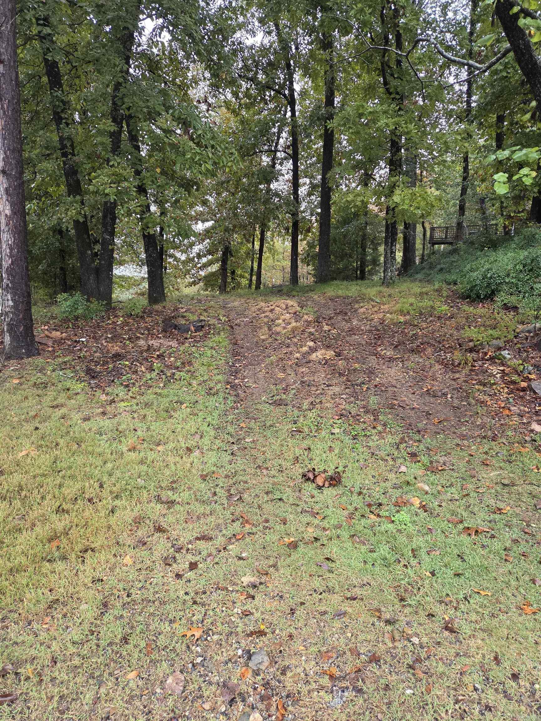 1453 St Andrews  Hot Springs, AR