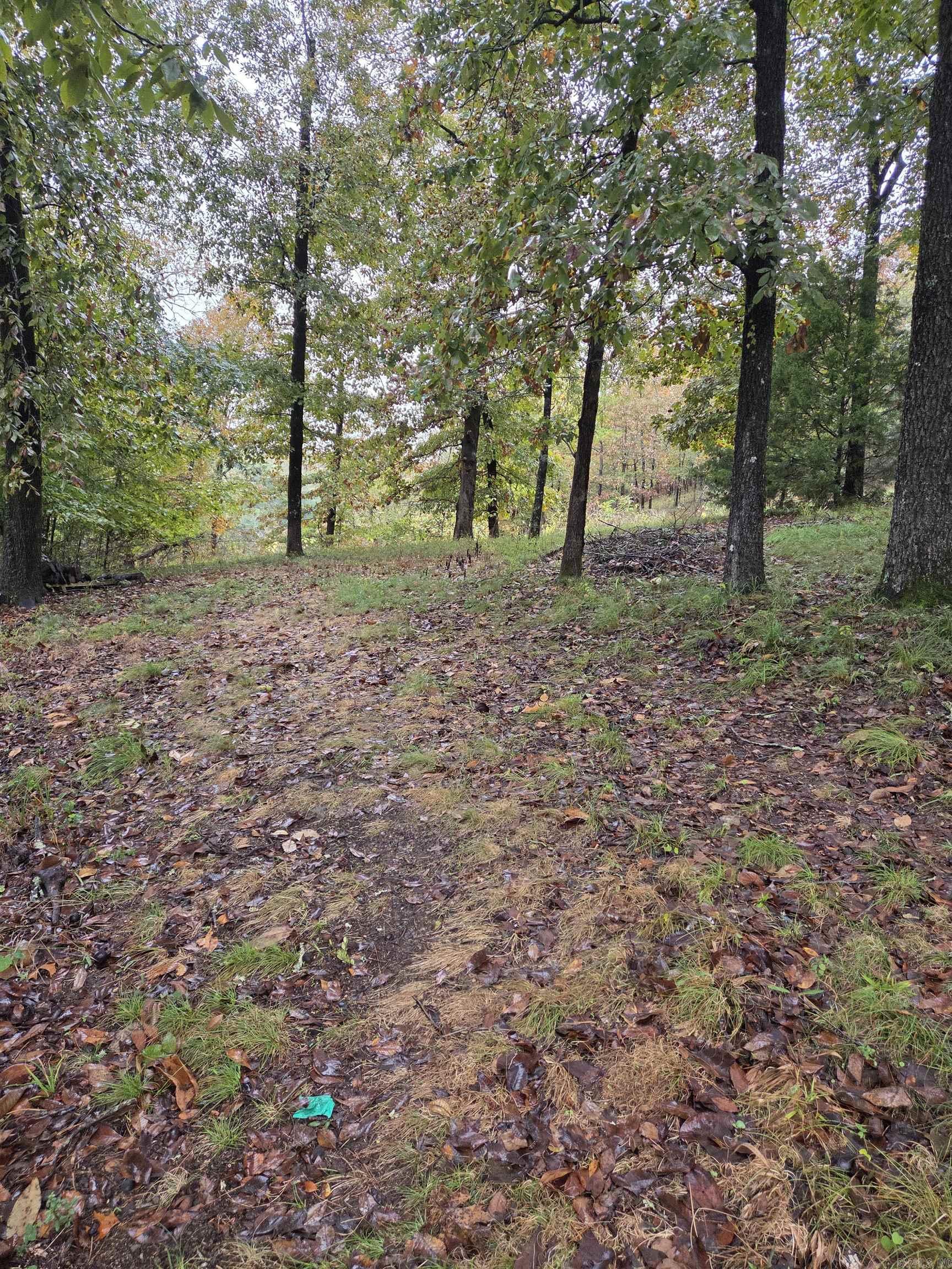 1453 St Andrews  Hot Springs, AR