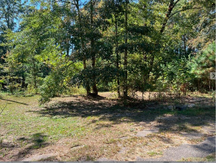 7801 Holy Ridge Cutoff  Benton, AR