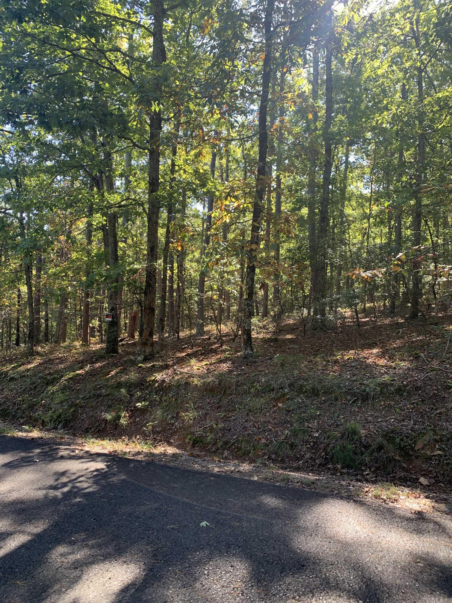 42 Devaca Way 42 Devaca Way Hot Springs Village, AR