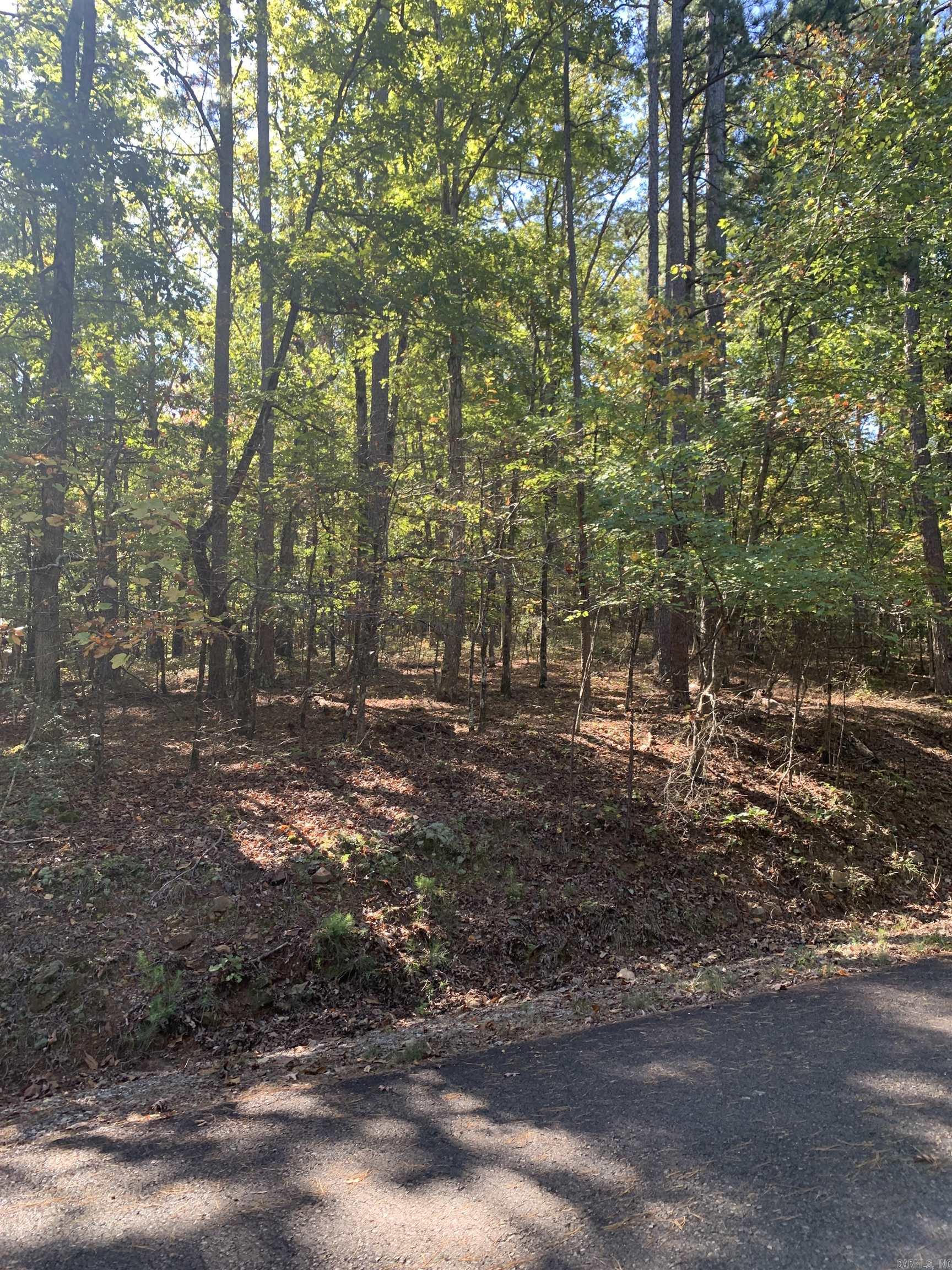 42 Devaca Way 42 Devaca Way Hot Springs Village, AR