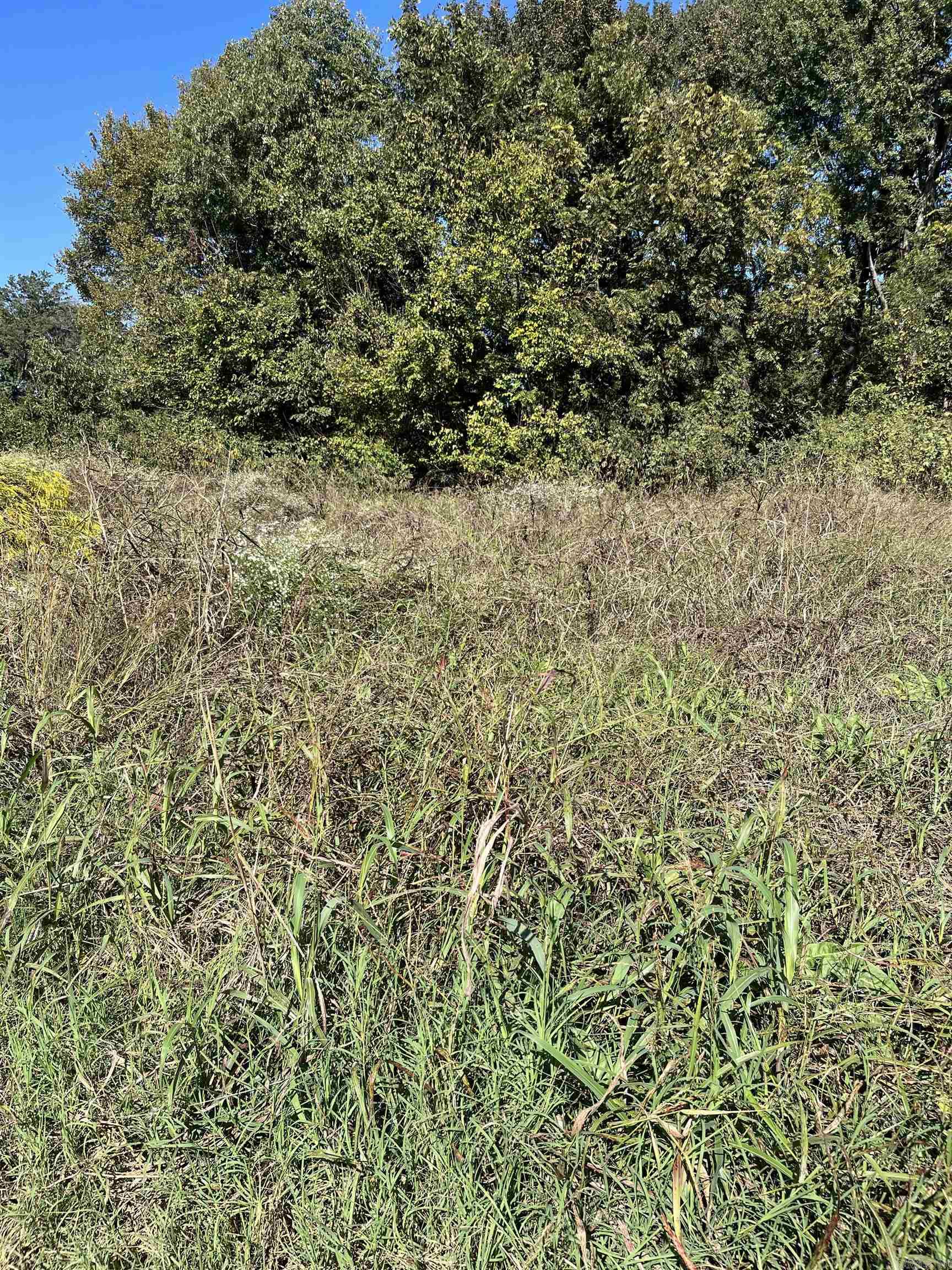 404 W 5th Lot 1 Carlisle, AR