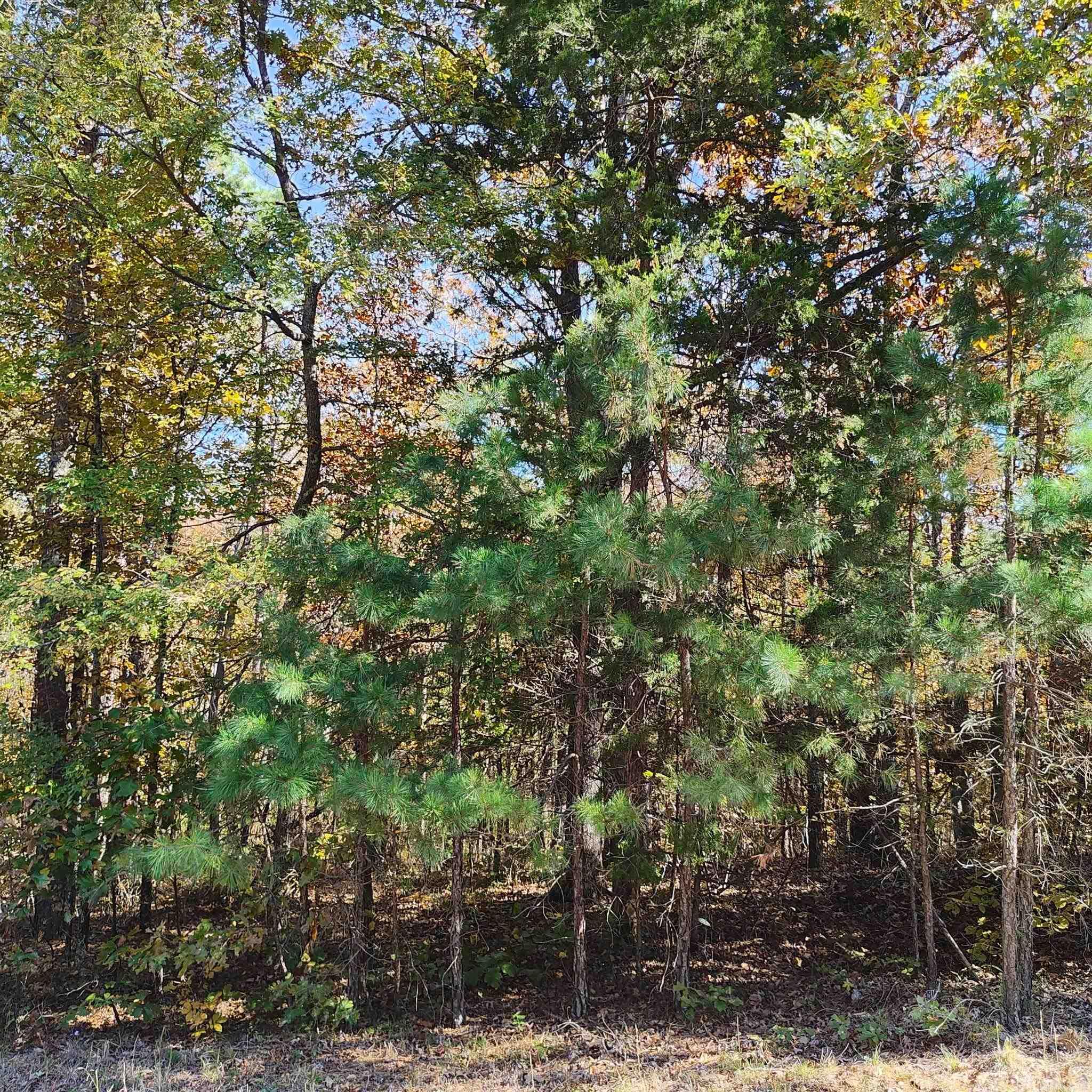 0 Pryor Mountain Dr  Quitman, AR