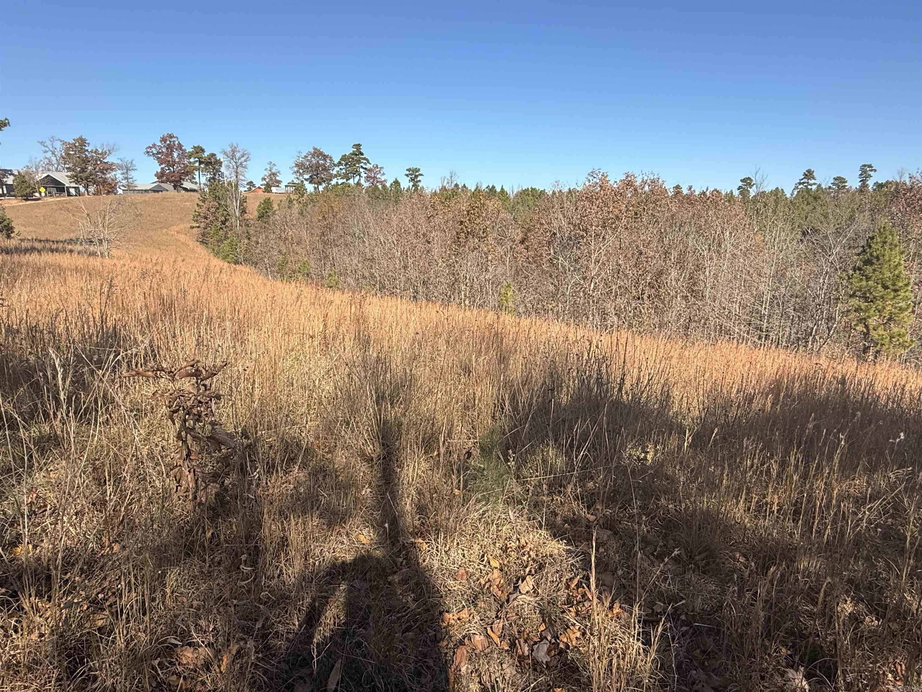 000 Qmc  Mountain View, AR