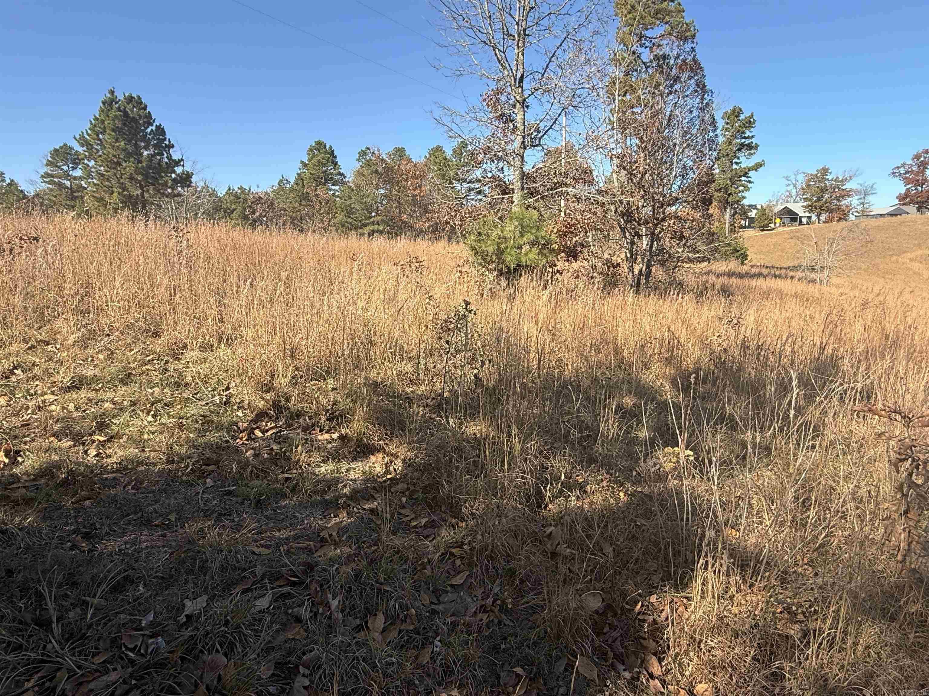 000 Qmc  Mountain View, AR