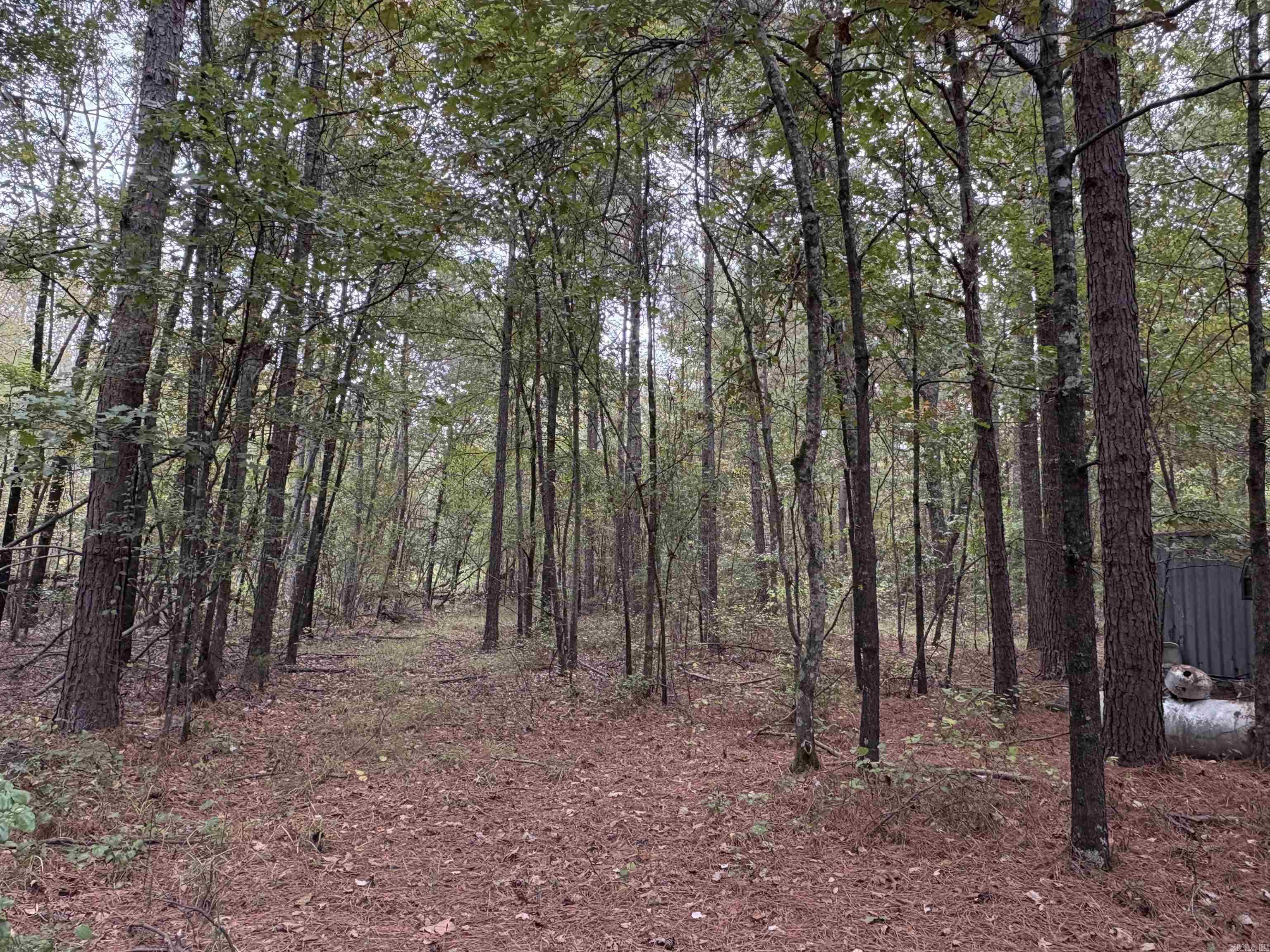 24853 S 425  Star City, AR