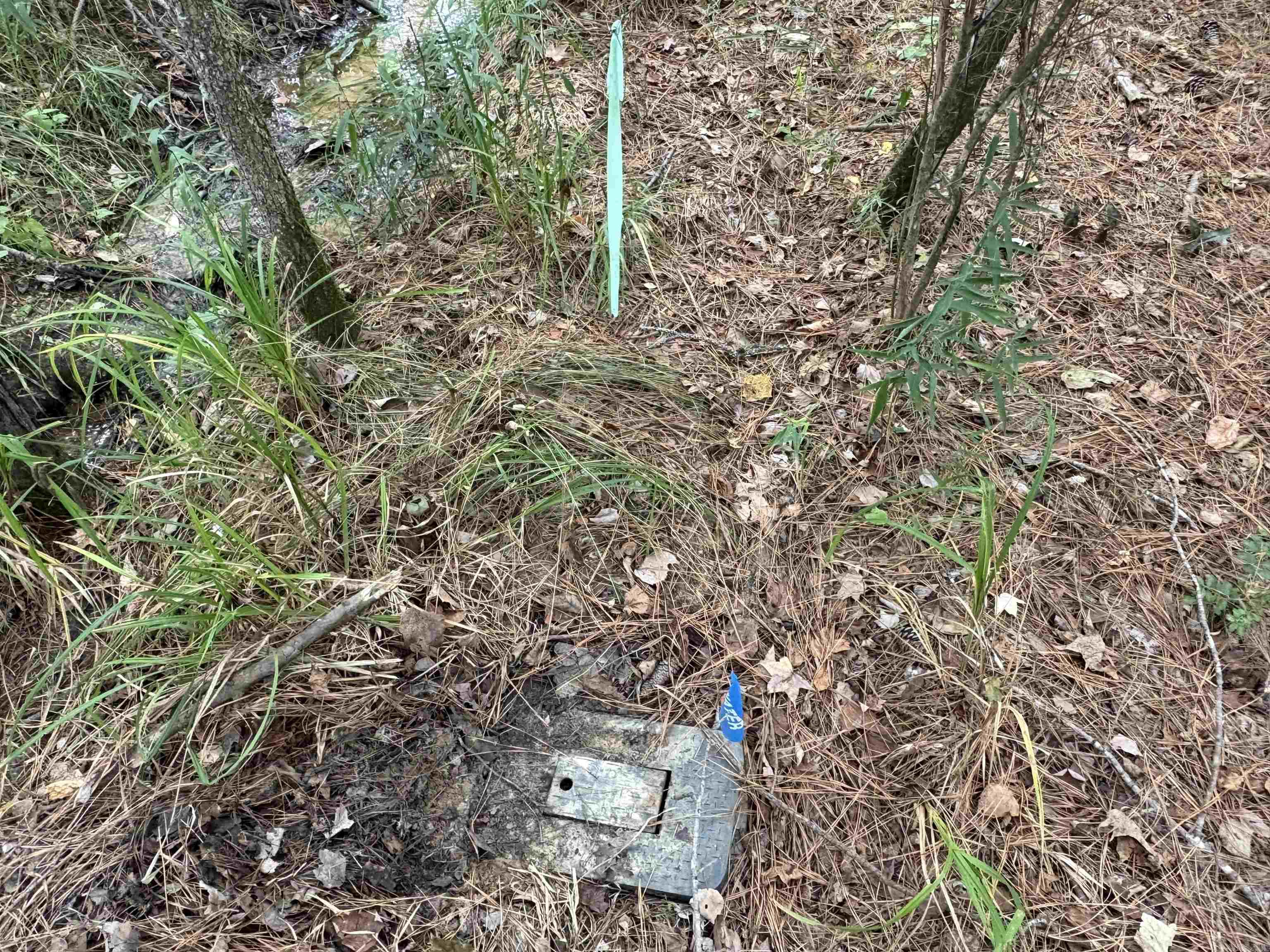 24853 S 425  Star City, AR