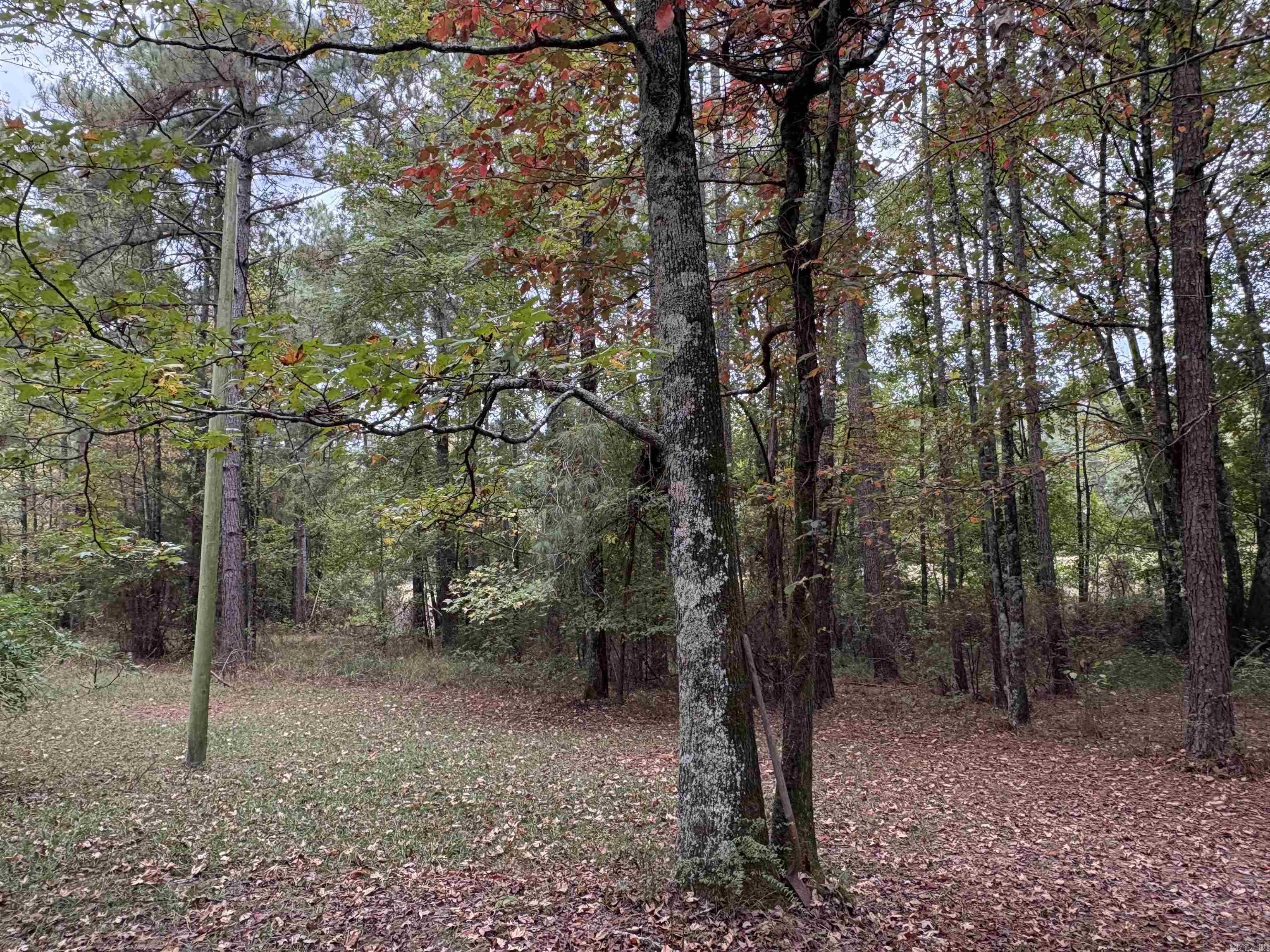 24853 S 425  Star City, AR