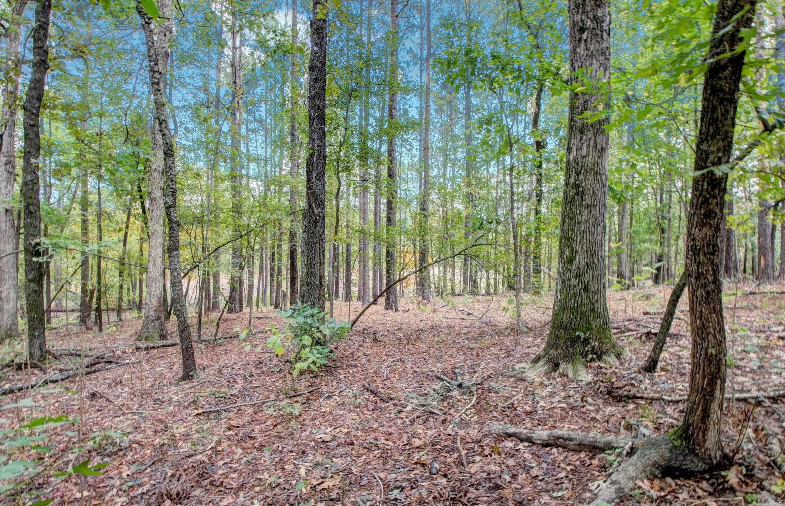 4924 N Detonti  Bauxite, AR