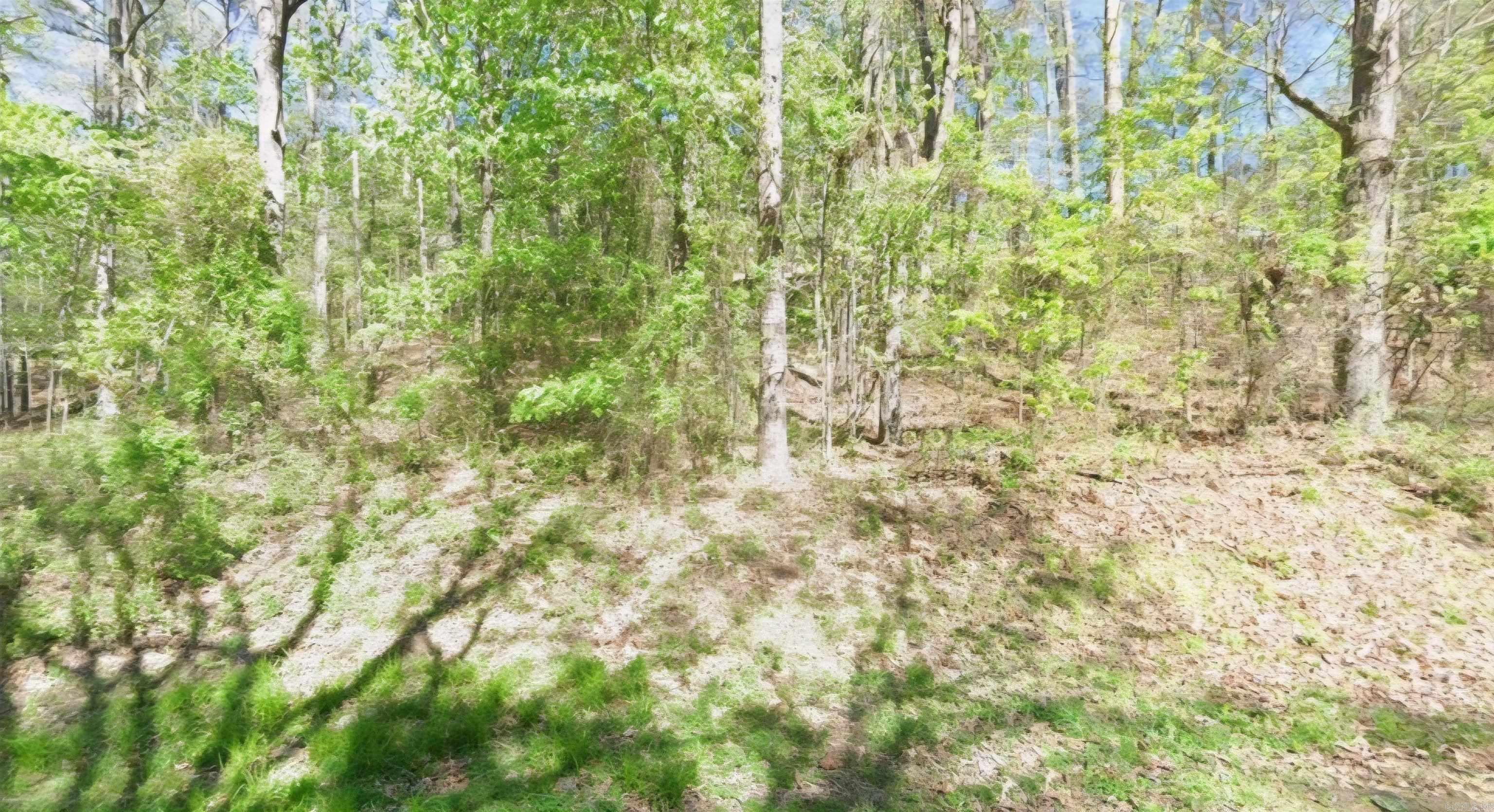 Lot 335-336 Woodlawn  Fairfield Bay, AR