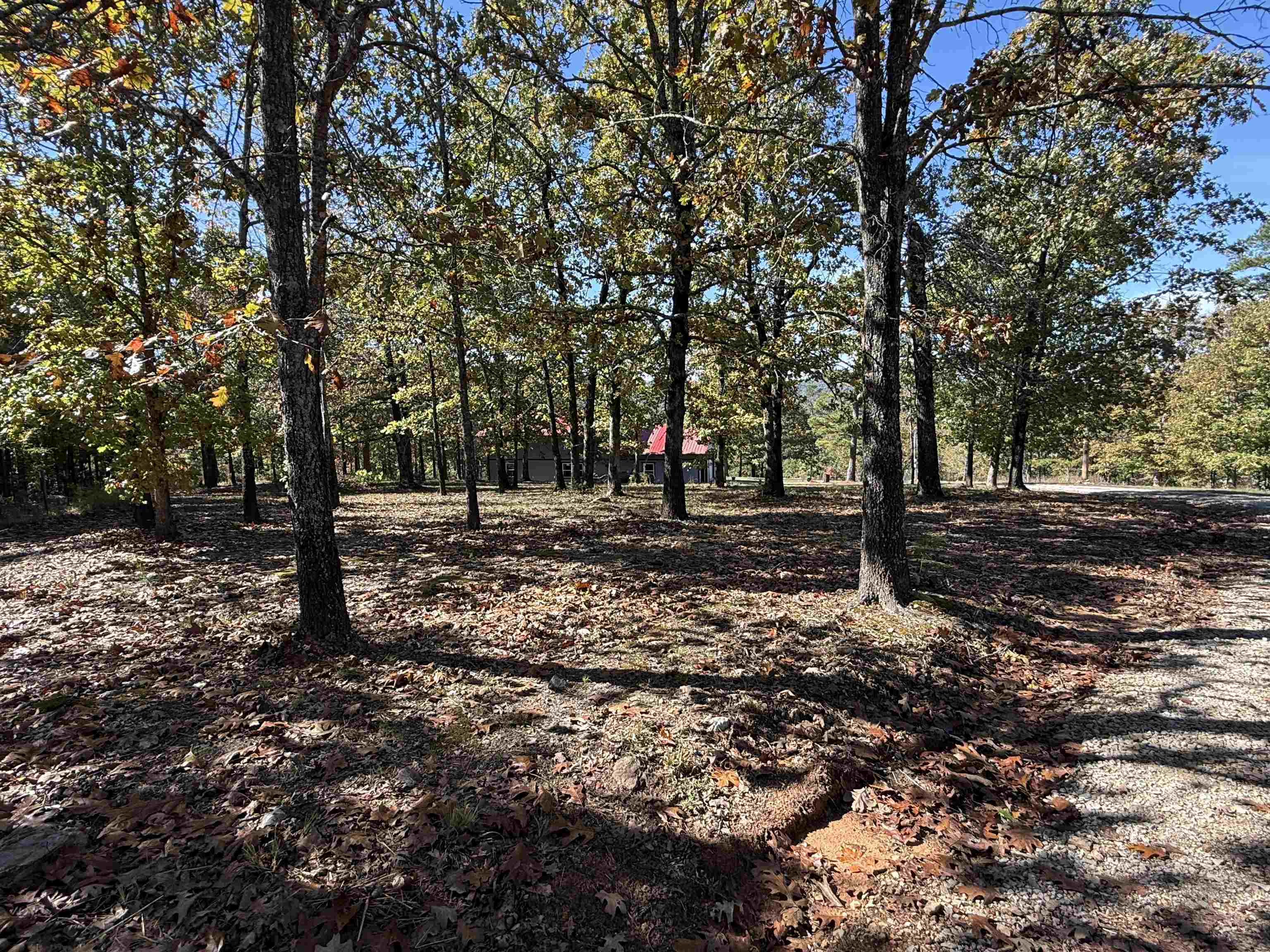 760 Red Fern Road  Melbourne, AR