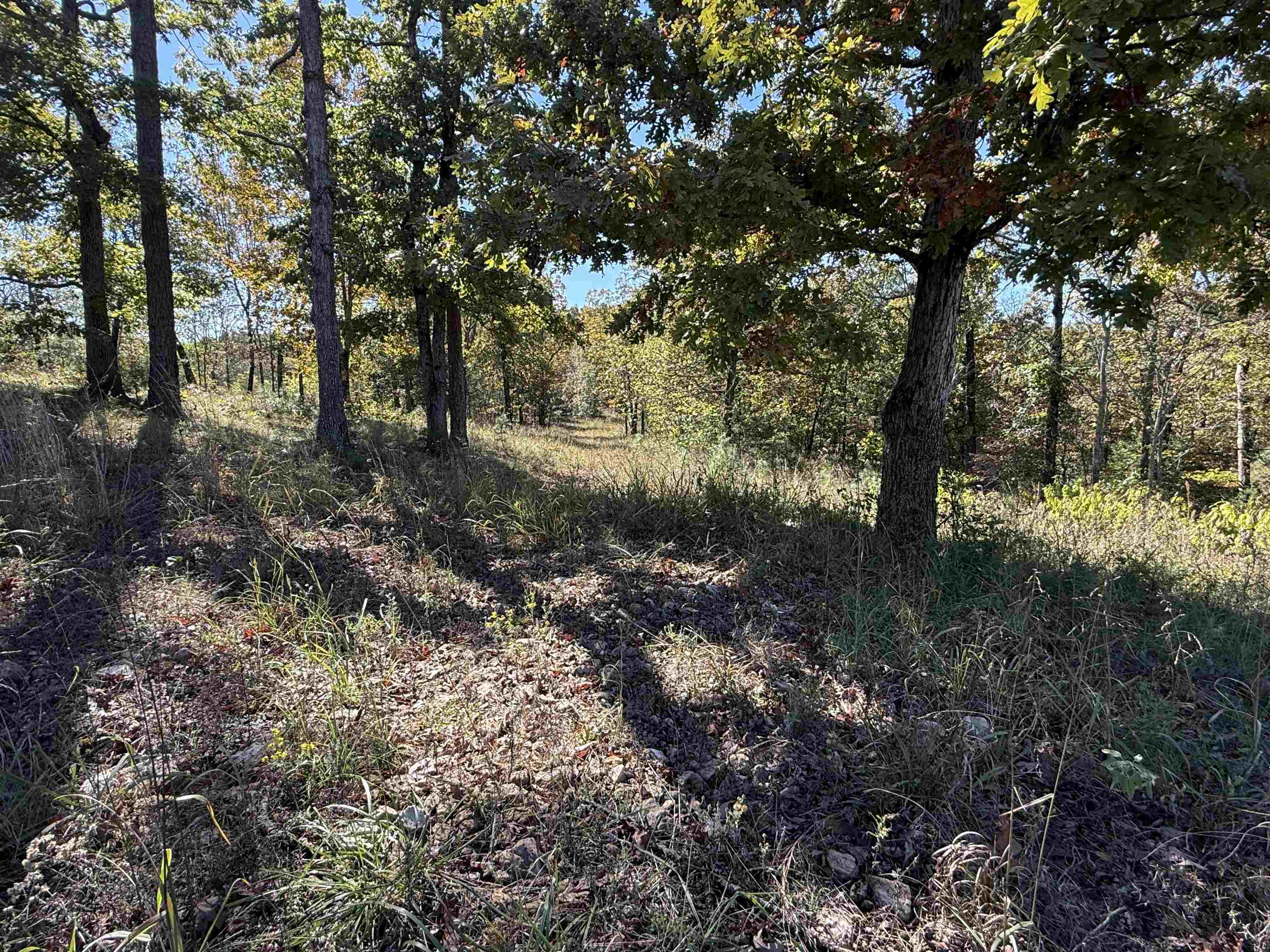 760 Red Fern Road  Melbourne, AR