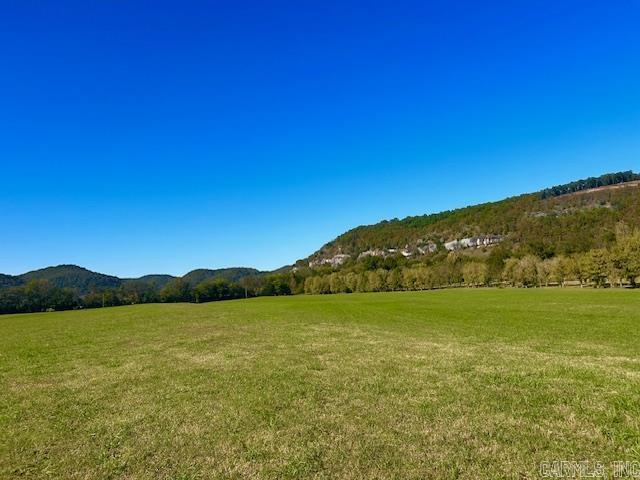 228 Handford Drive Lots 1-7 and Lots 21 & 24 Lots 1-7 and Lots 21 & 24 Mountain View, AR