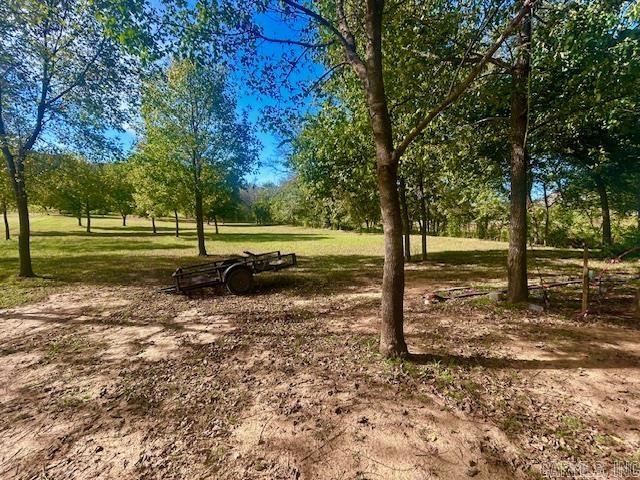 228 Handford Drive Lots 1-7 and Lots 21 & 24 Lots 1-7 and Lots 21 & 24 Mountain View, AR