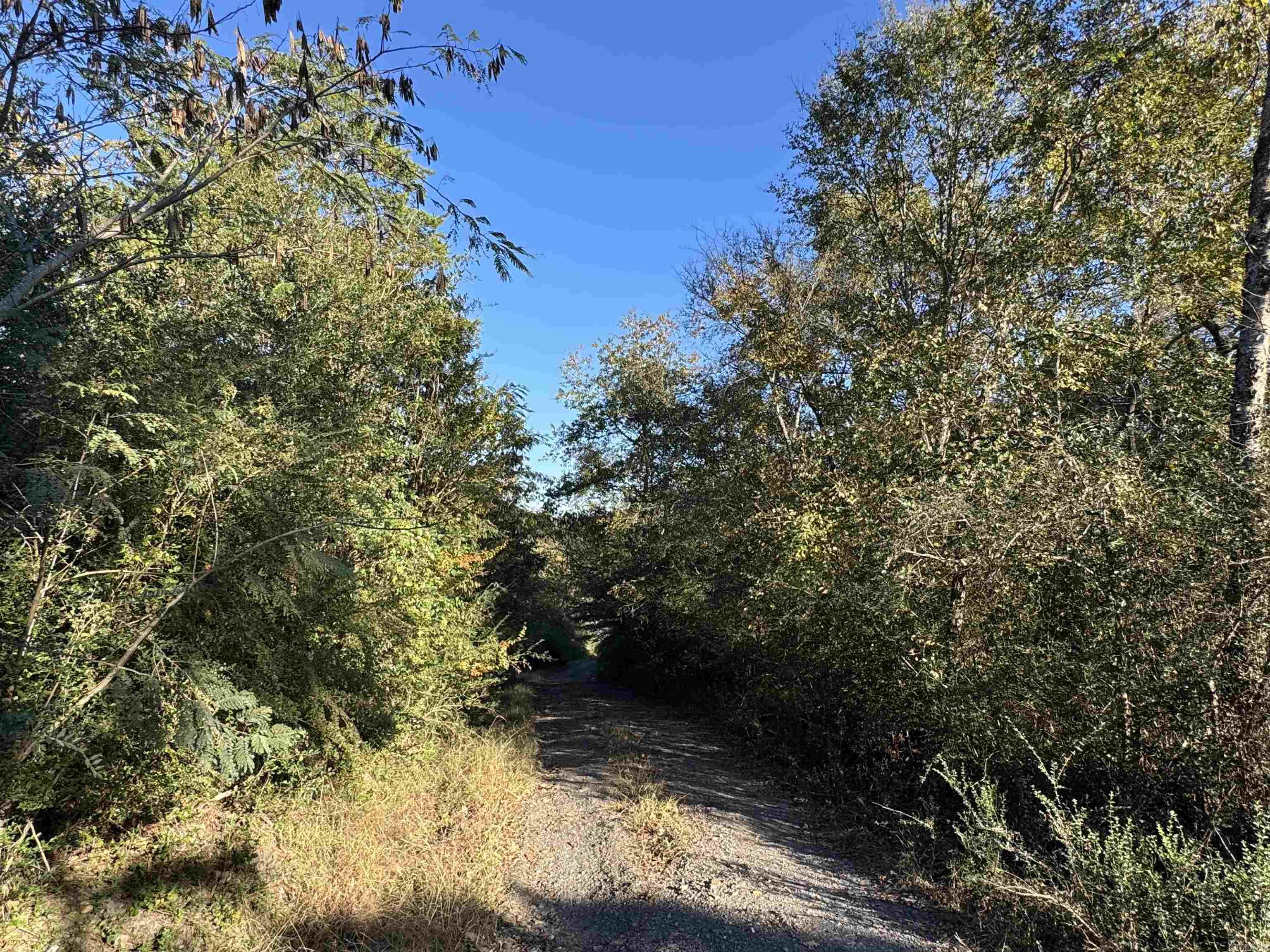 112 Breezy Lane  Hatfield, AR