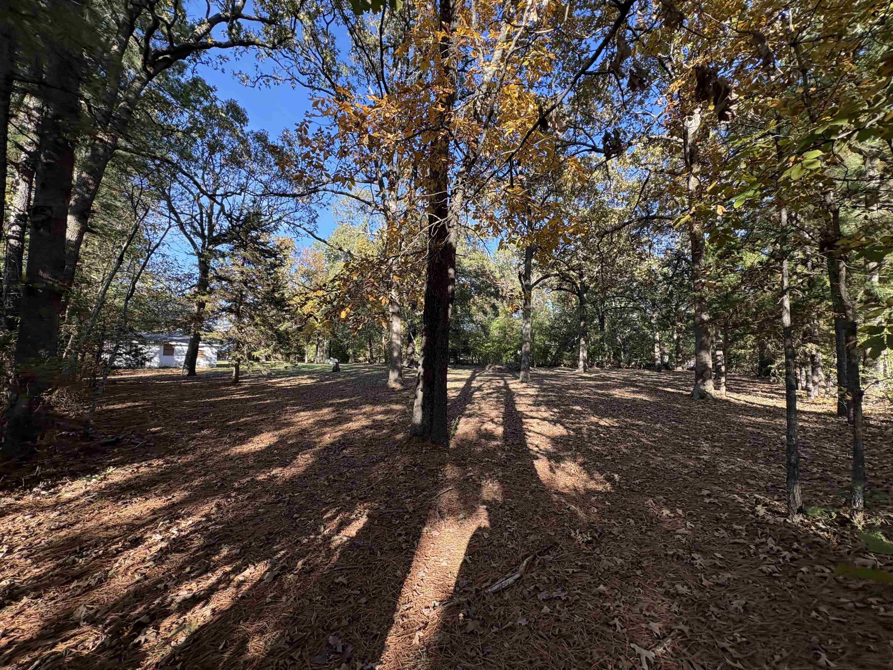 1734 Highway 62/412  Highland, AR