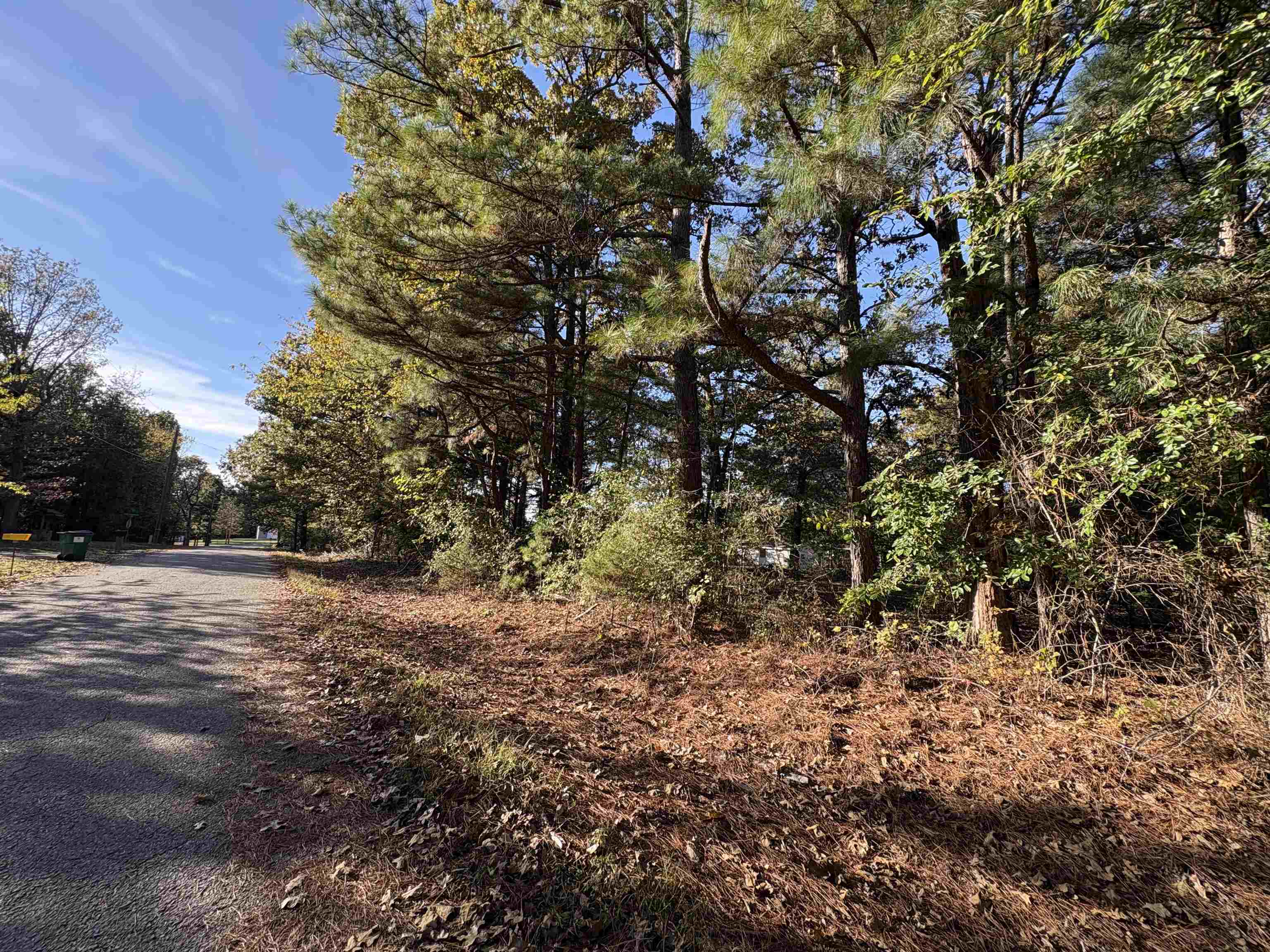 1734 Highway 62/412  Highland, AR